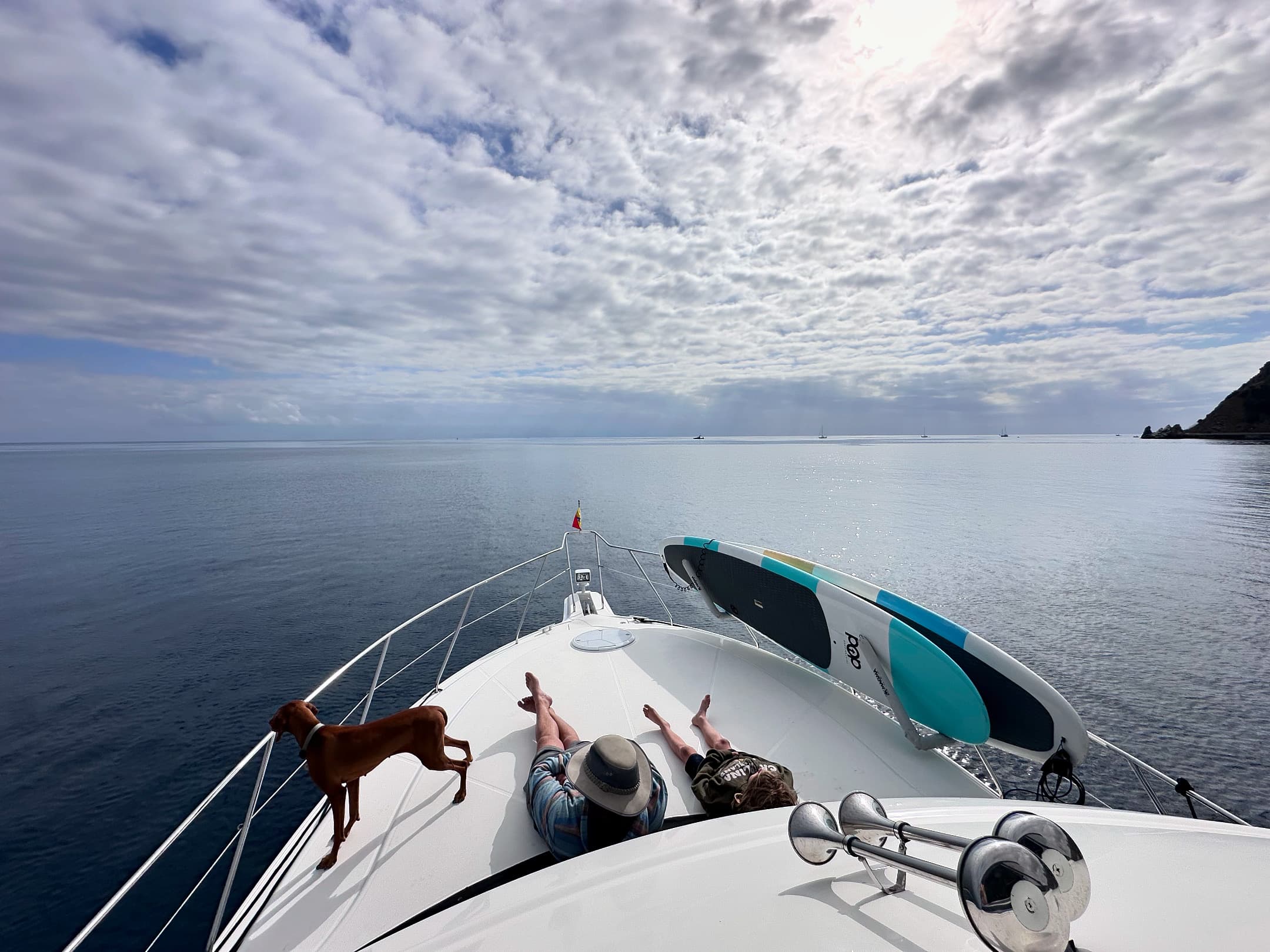 Two people and a dog sitting at the front of a boat that's sailing through a body of water