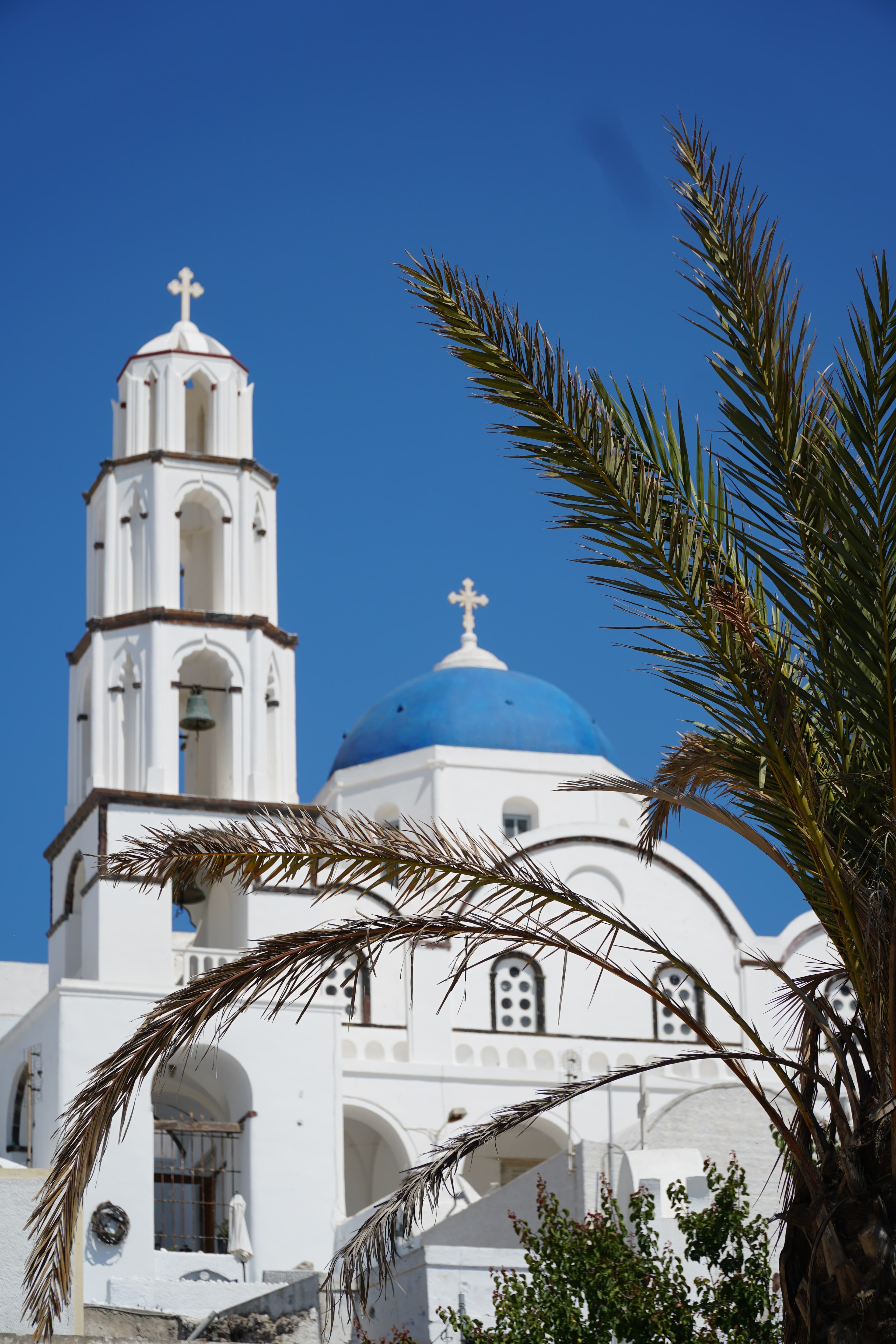 View of a white church with blue domed roof and a palm tree in front on a clear day