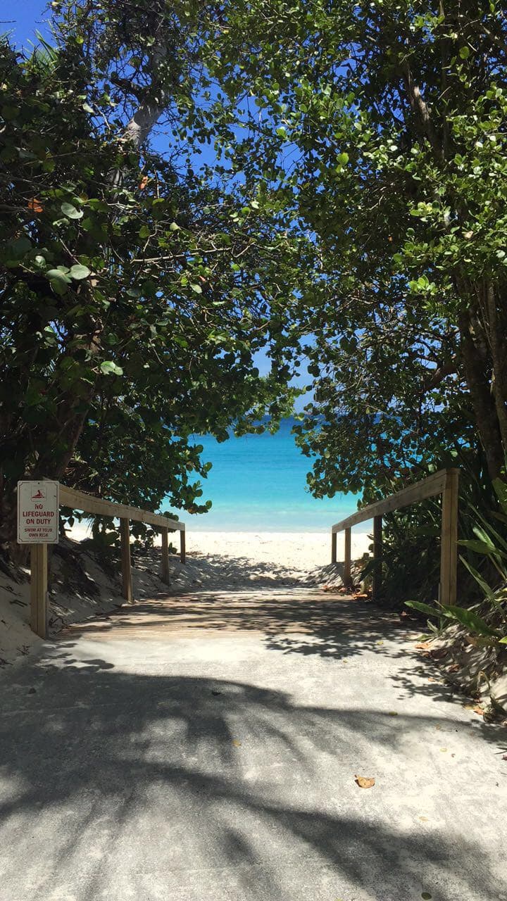 Sandy road lined with trees leading towards a white sand beach and bright blue sea