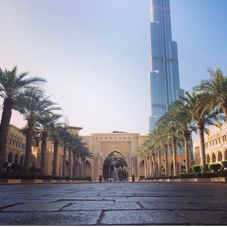 View of a city plaza lined with palm trees and a large arch at one end with a skyscraper in the background