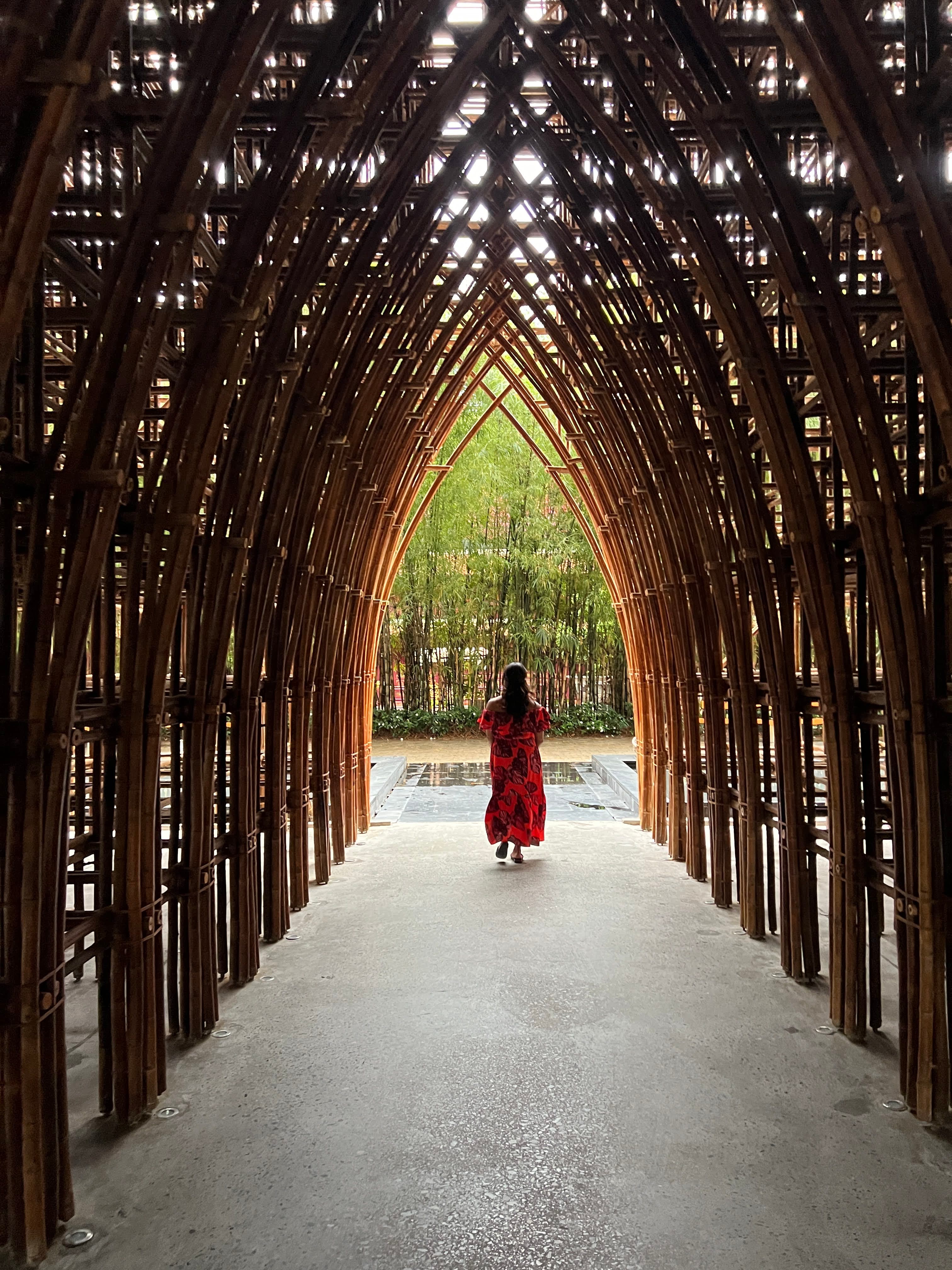 Advisor in a red dress walking along a covered pathway towards a pond with trees on the other side