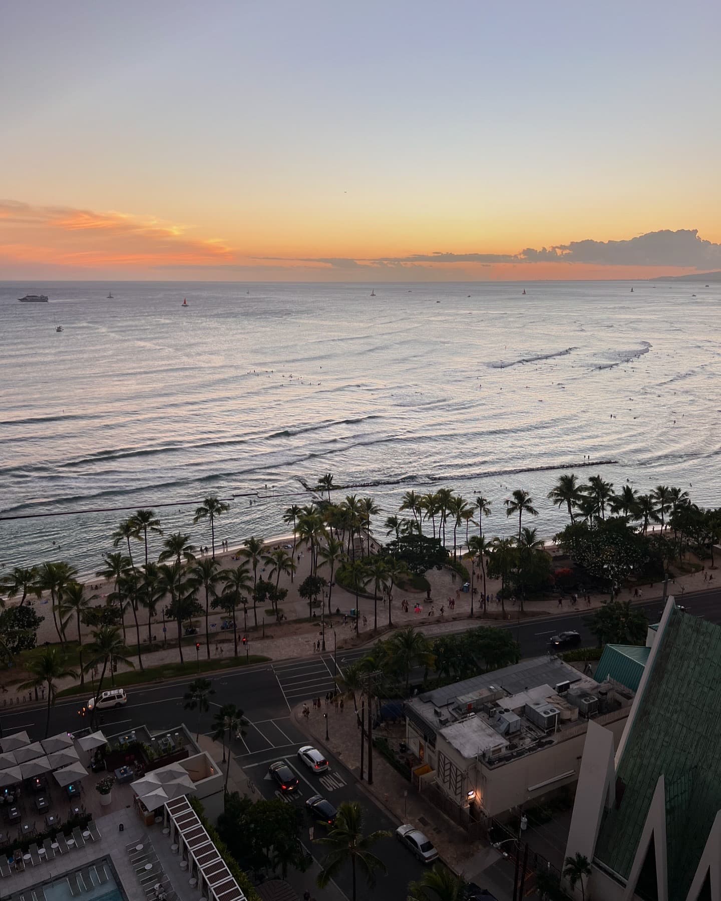 Aerial view of a resort beach and grounds with many palm trees visible at sunset