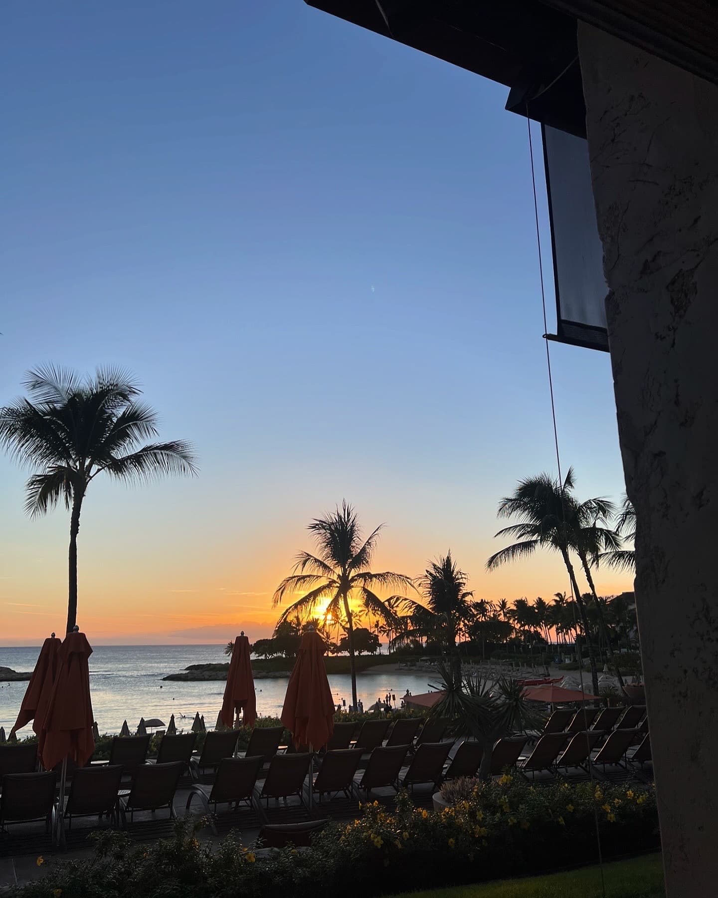 View of a beautiful sunset over the sea with palm trees in silhouette as seen from a beachfront resort