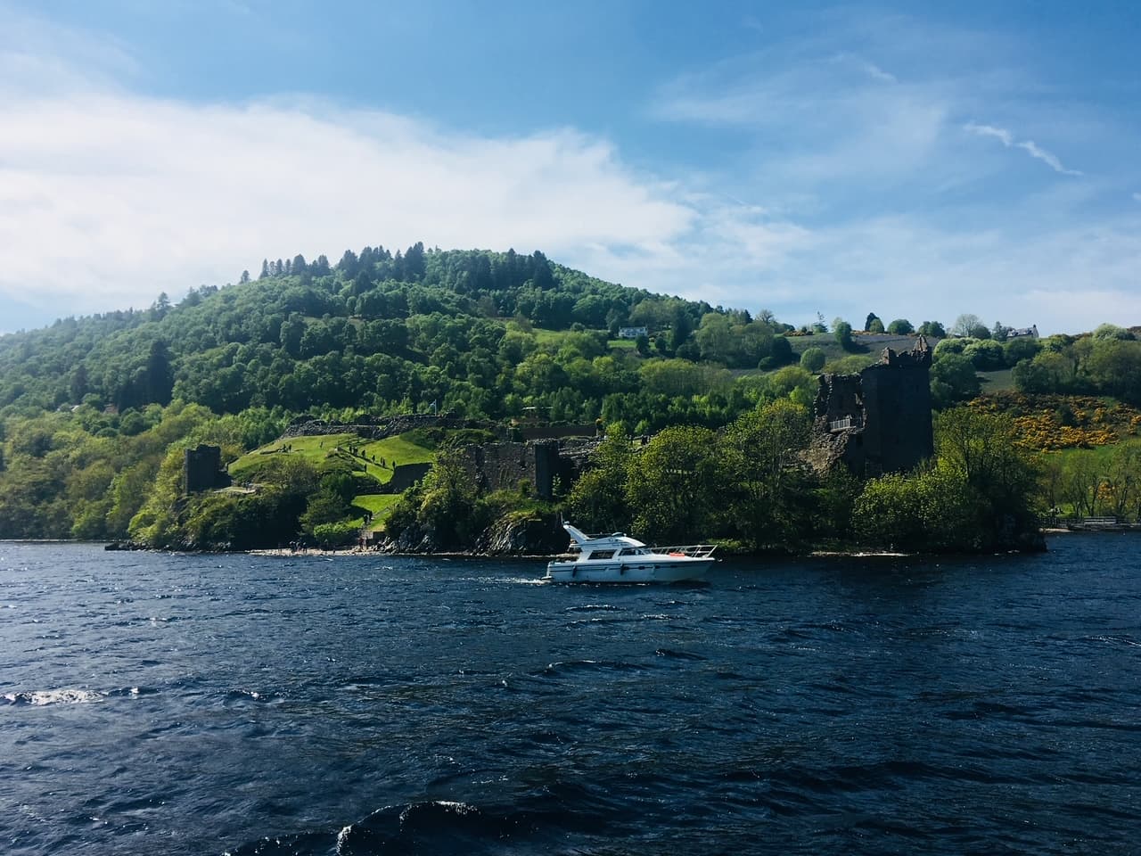 View of a small yacht along a secluded coastline of lush trees as seen from a boat at sea