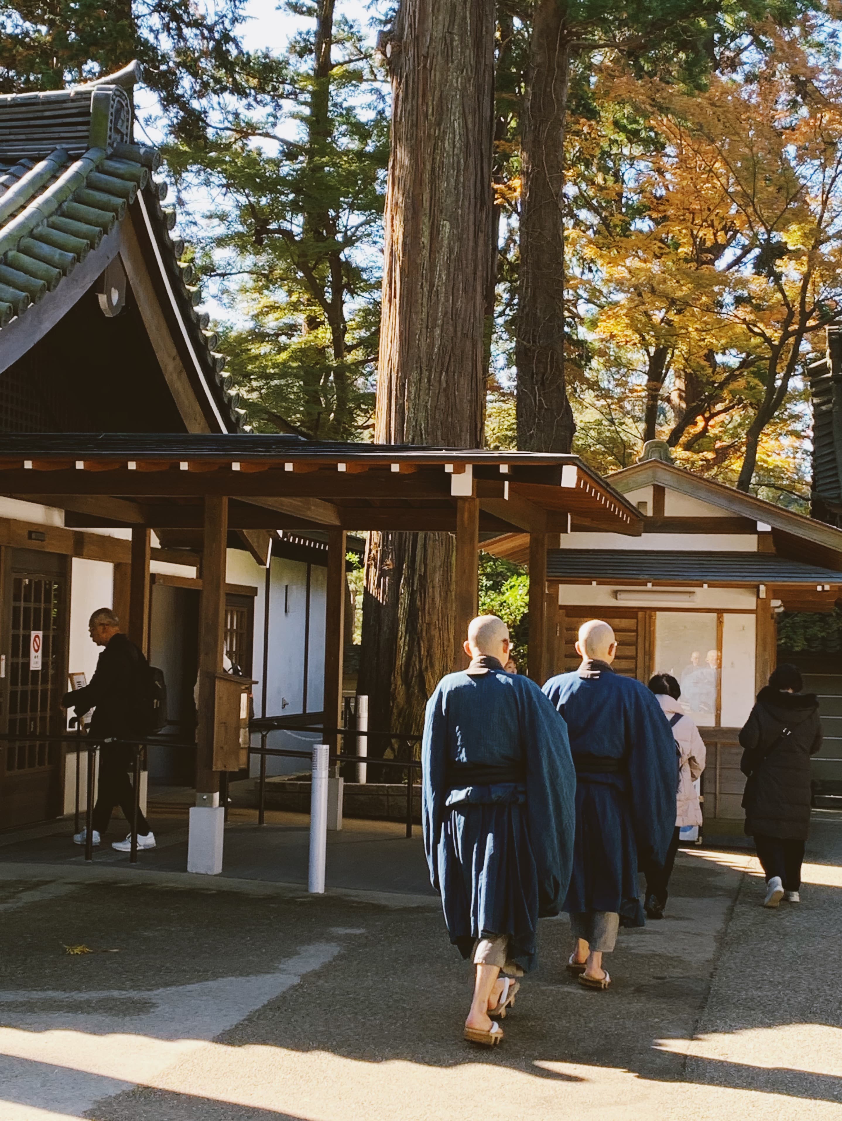 People in blue robes walking outside surrounded by cabins