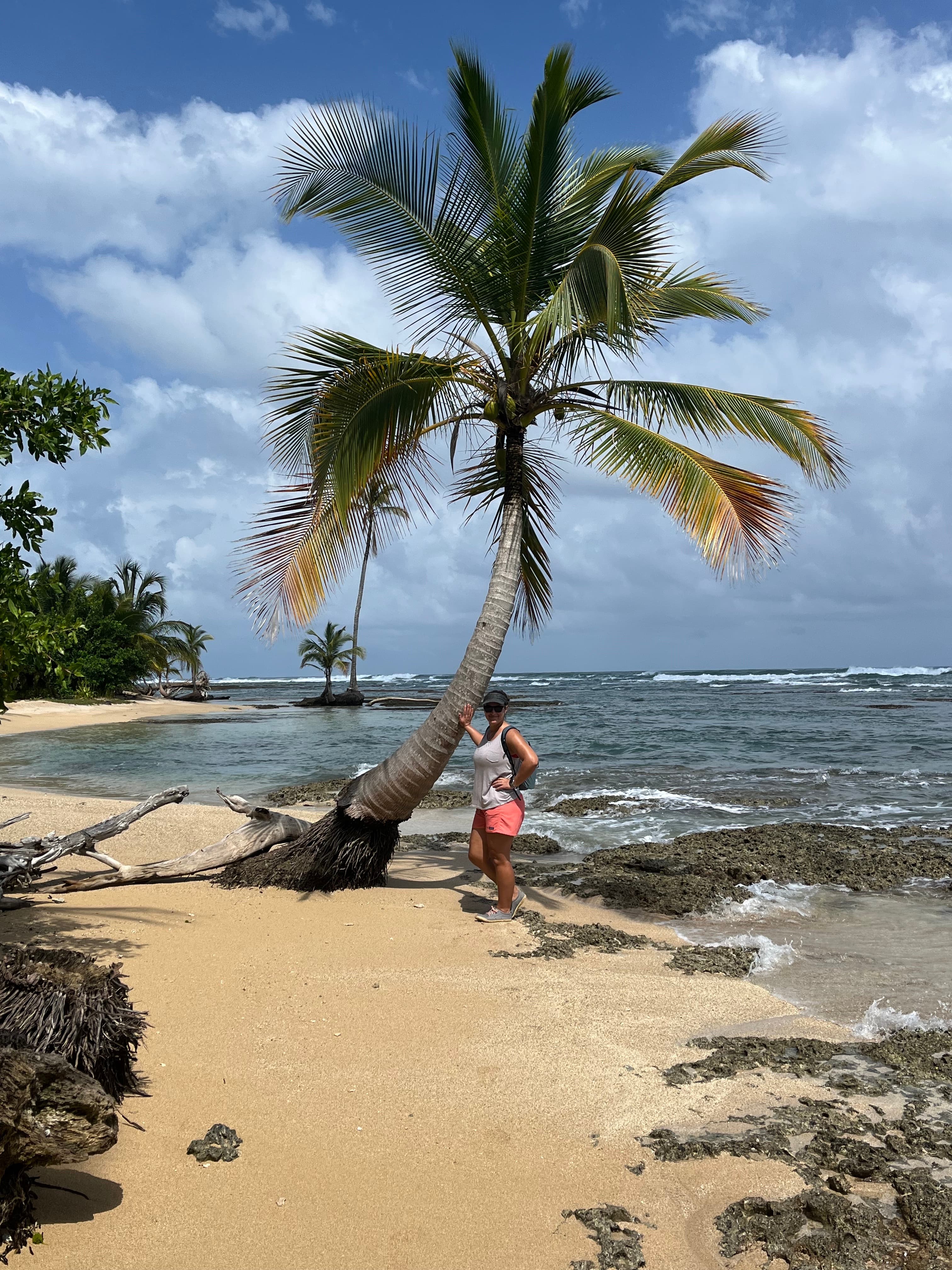 Advisor leaning against a slanted palm tree on a small tropical beach on a sunny day