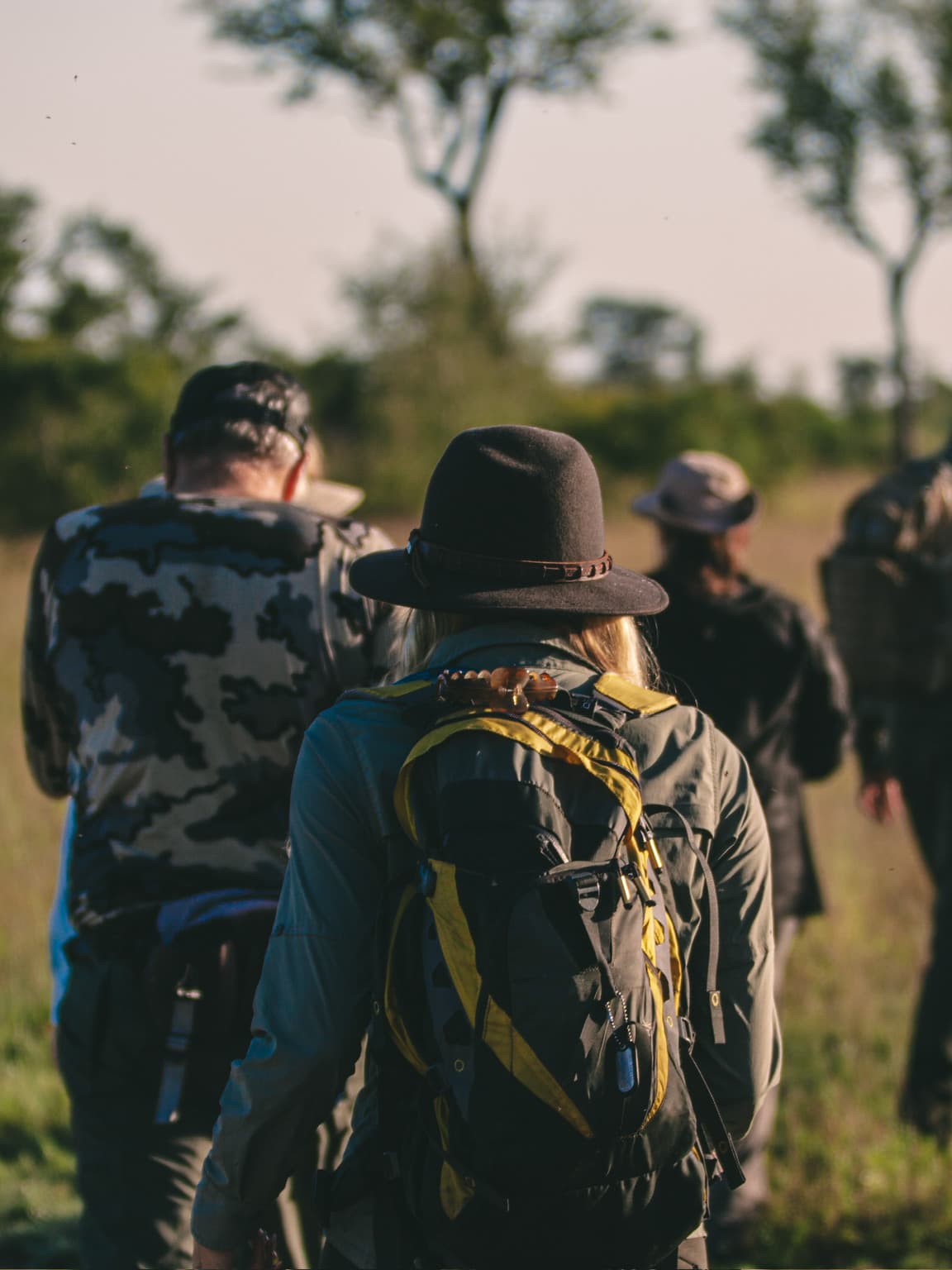 View of people walking in a line through a grassy area with sunlight shining on their backs