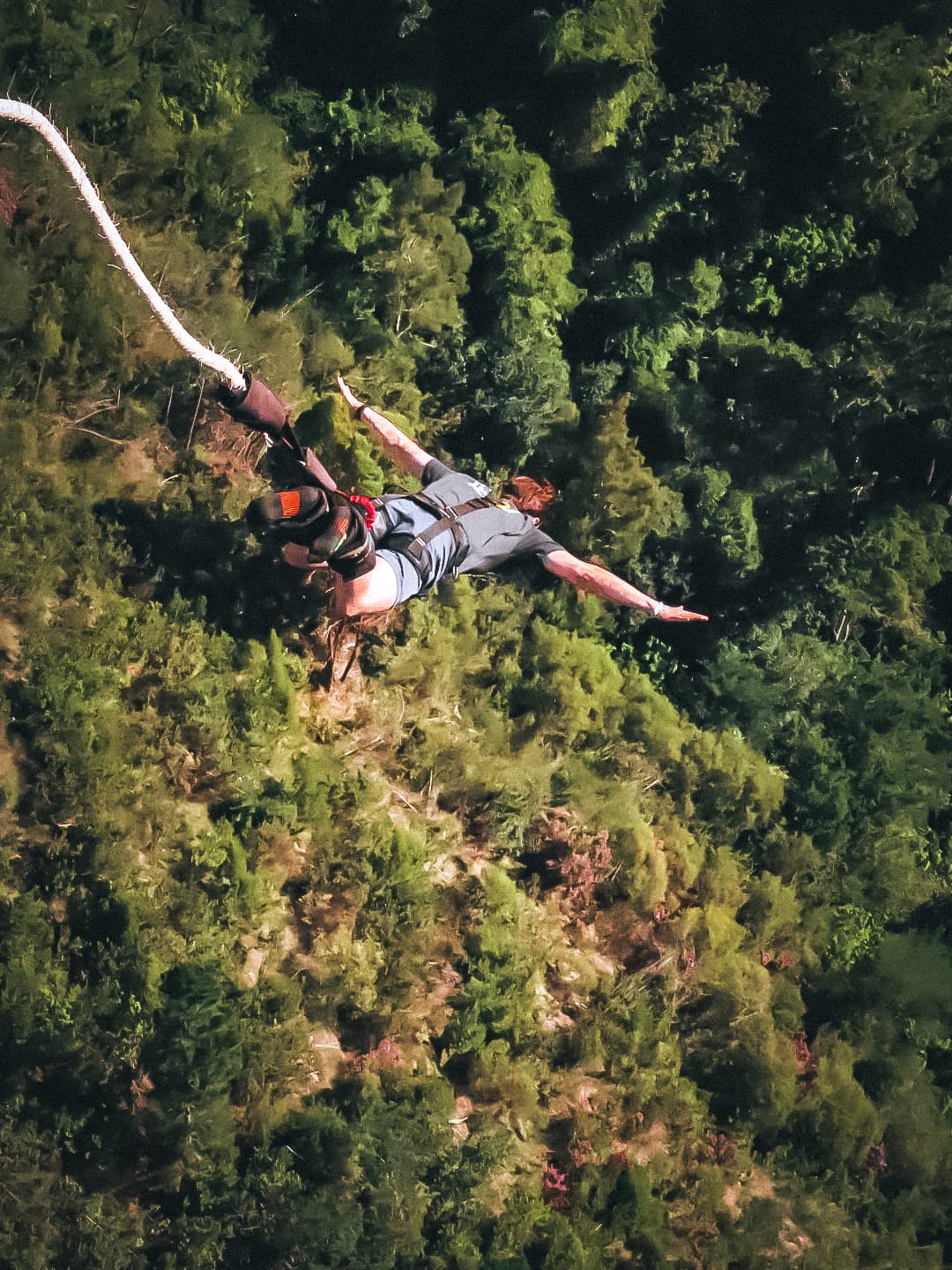 Advisor bungee jumping over a forest on a sunny day