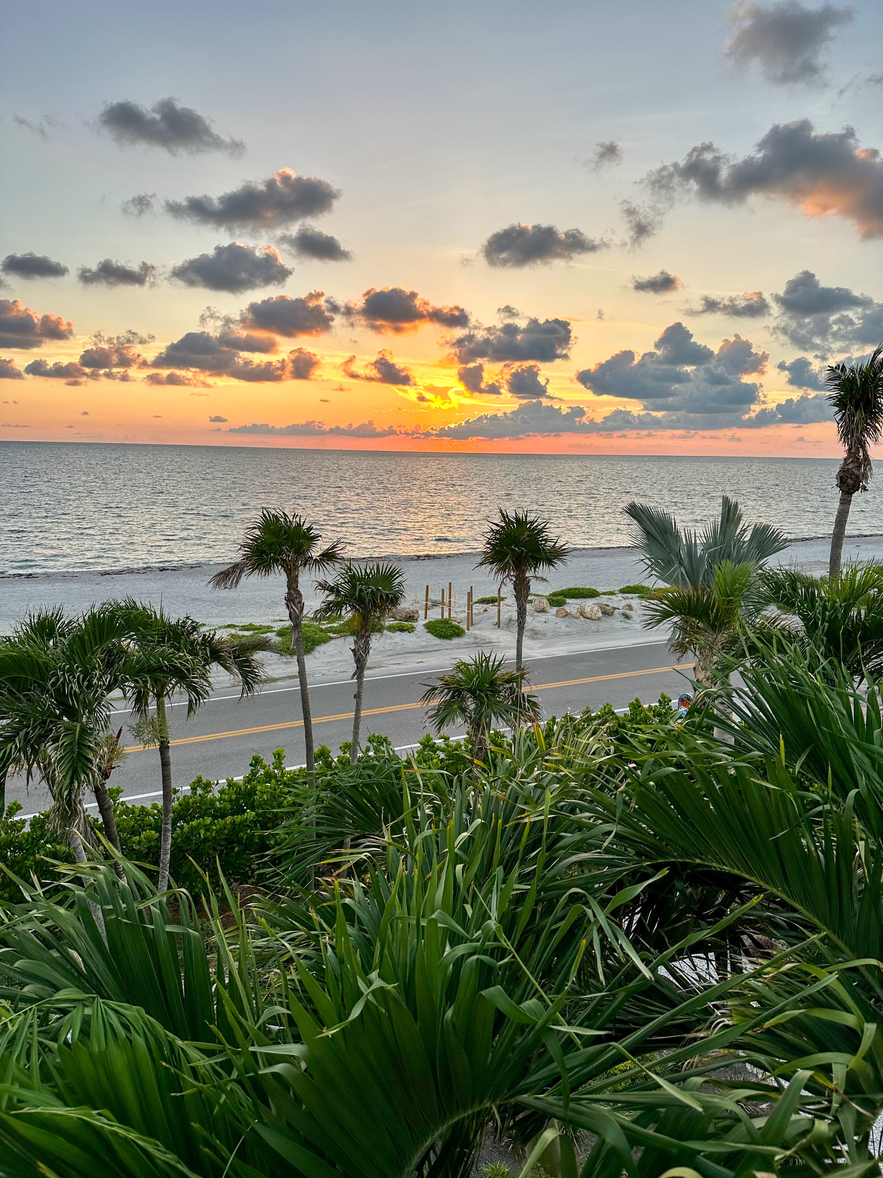 View of a beautiful sunset with small clouds over the sea with palm trees lining the beach