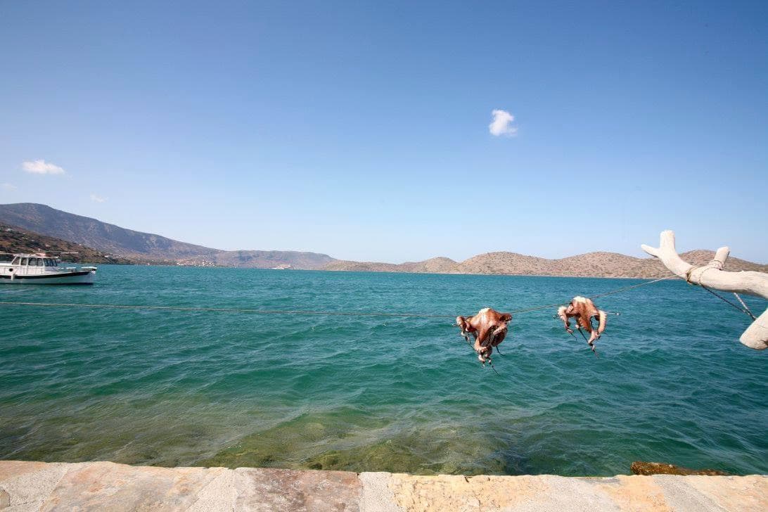 Michelle and friend diving into the ocean during the daytime.