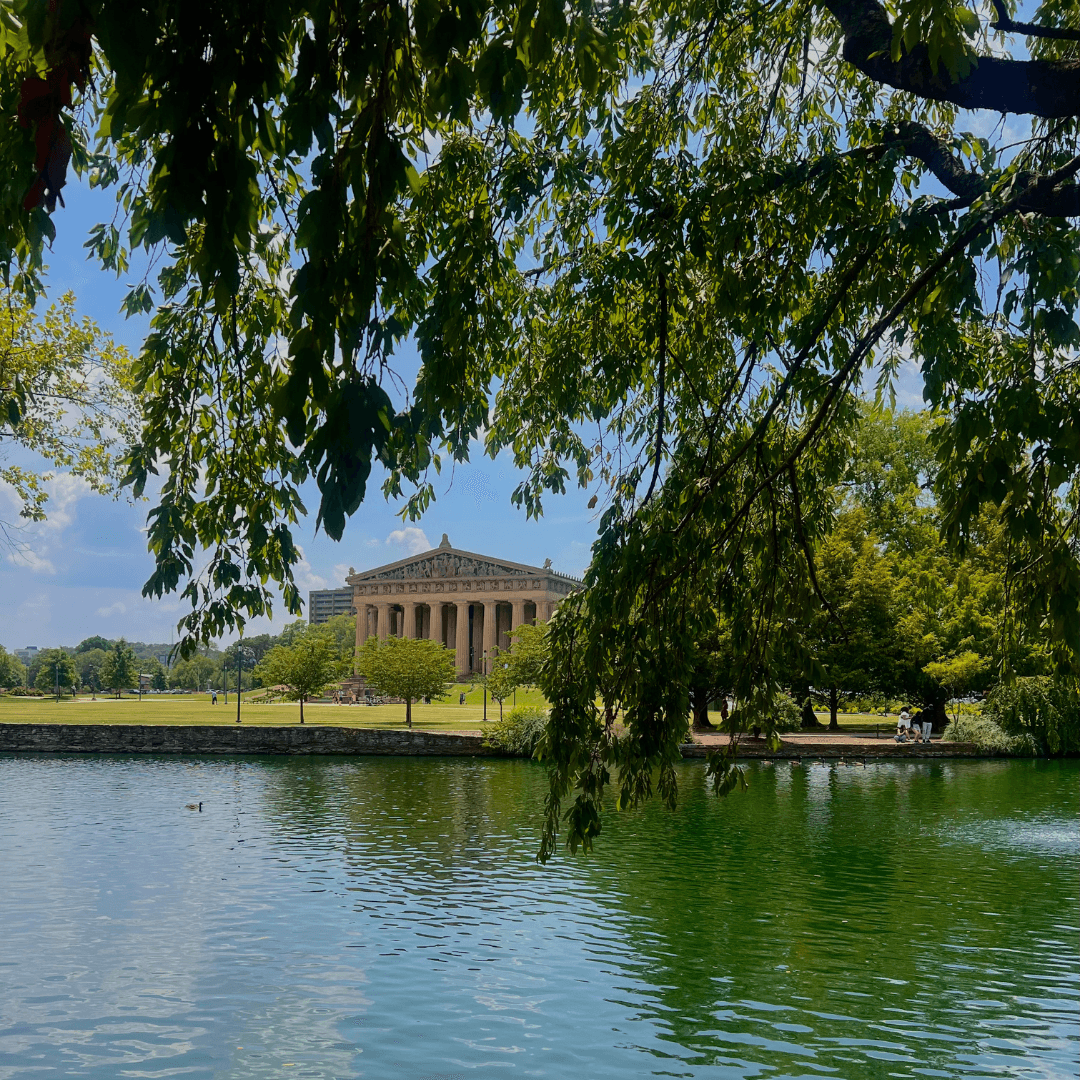 Lake view with branches of a tree hanging in the foreground and a building with columns on the other side