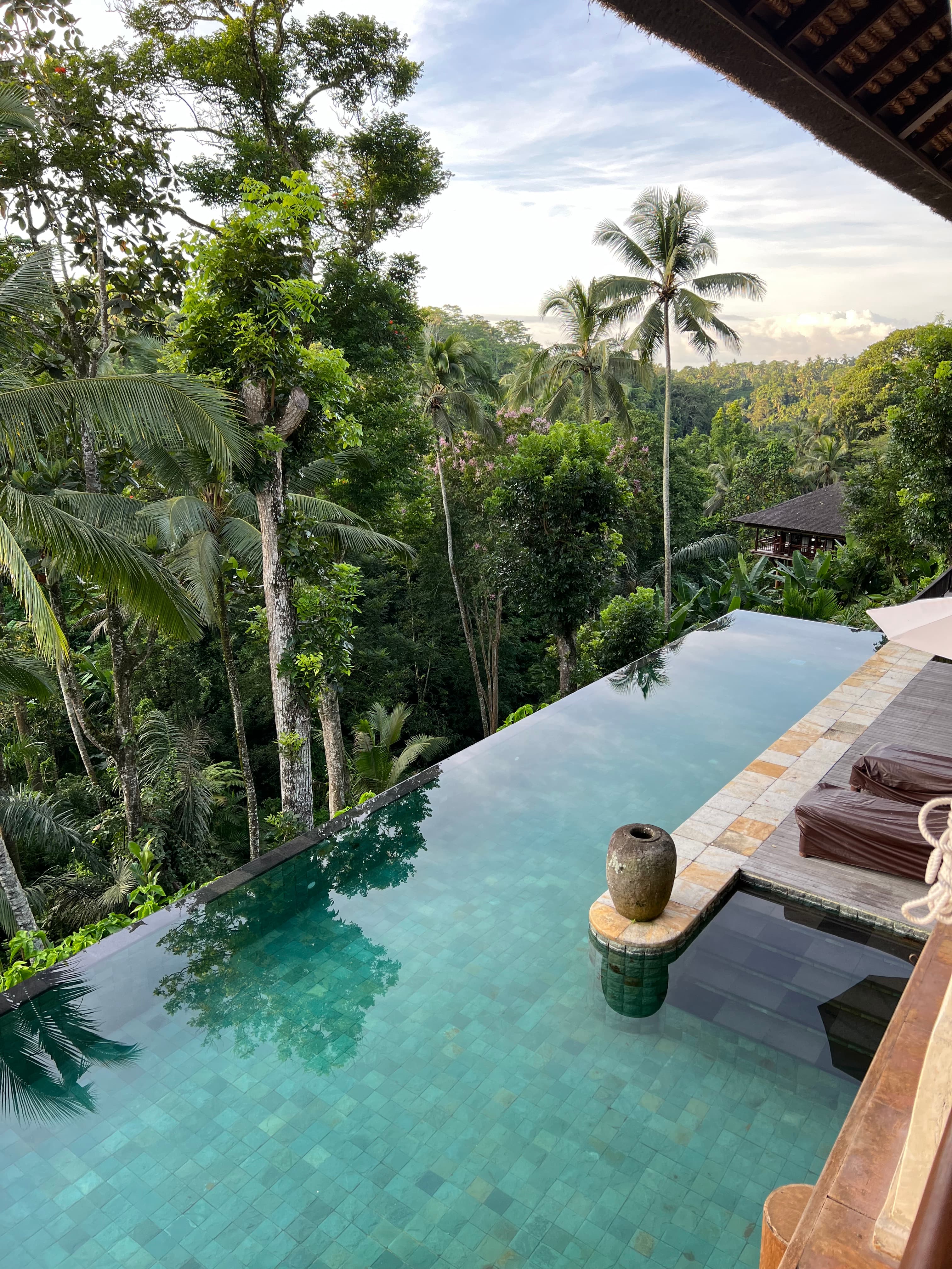 View of a beautiful infinity pool in the heart of a tropical jungle