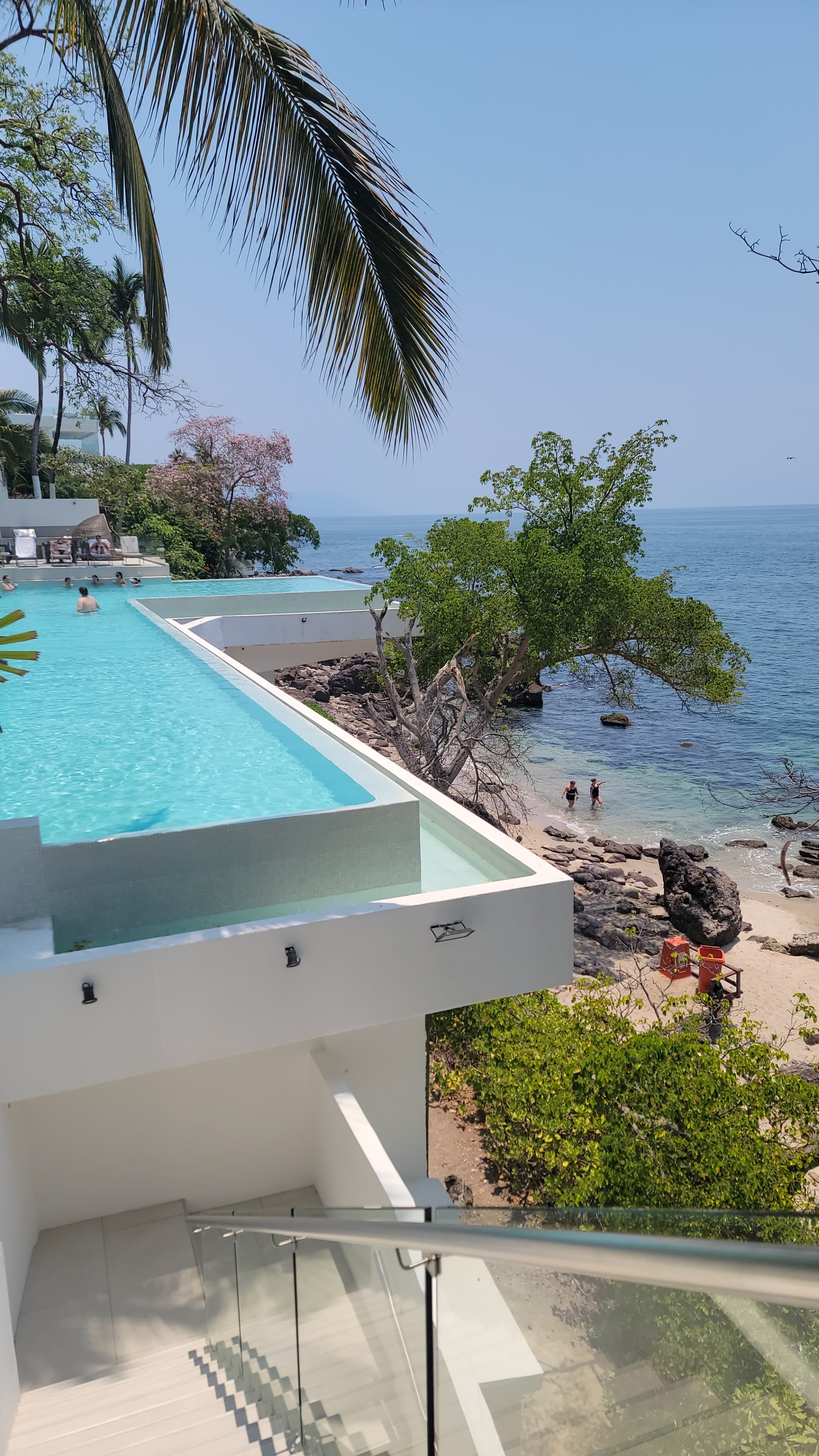 A view of an infinity swimming pool, palm trees, beach and the sea in the distance.