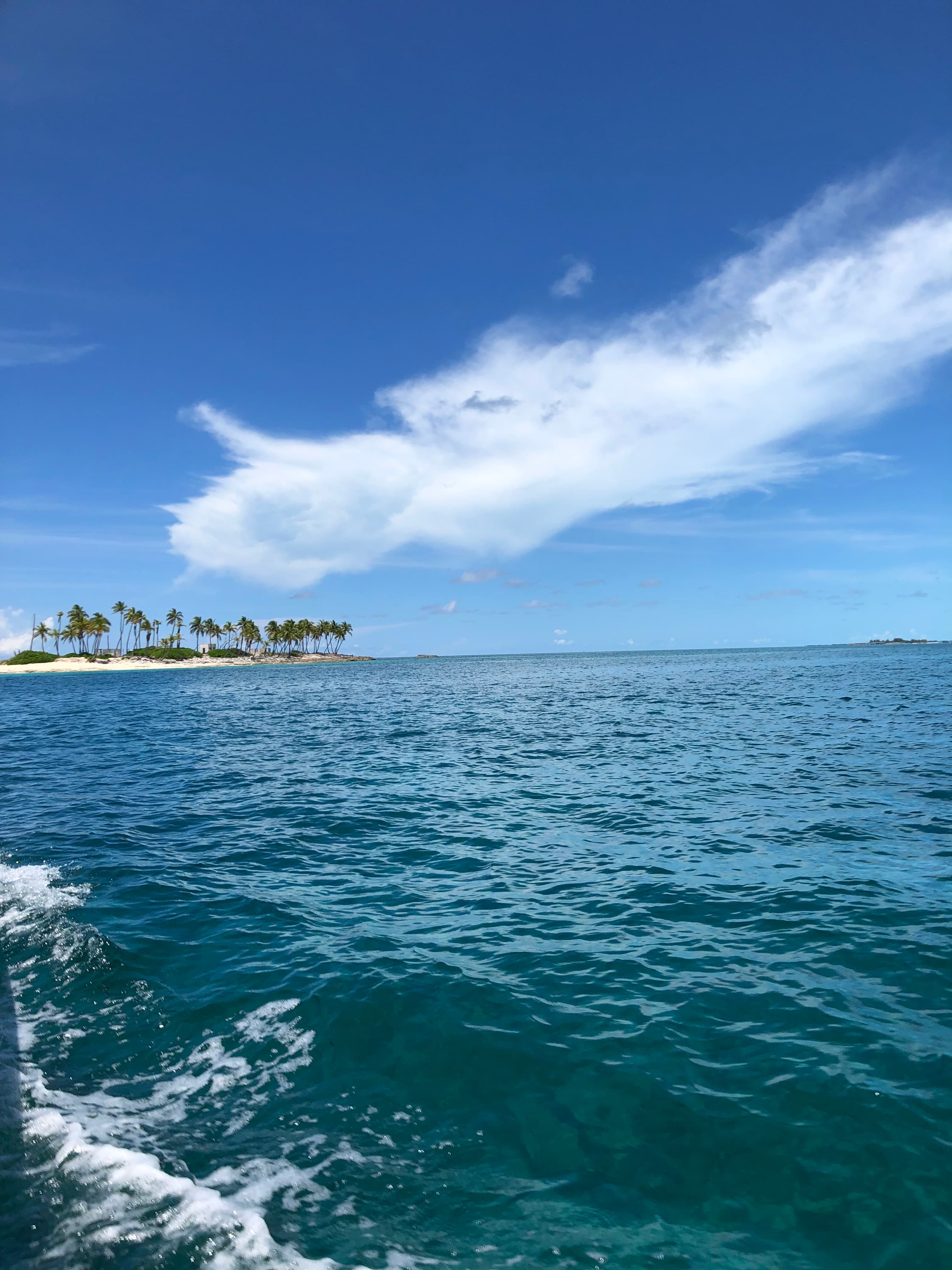 A view of the ocean during the daytime with a beach and palm trees in the distance. 