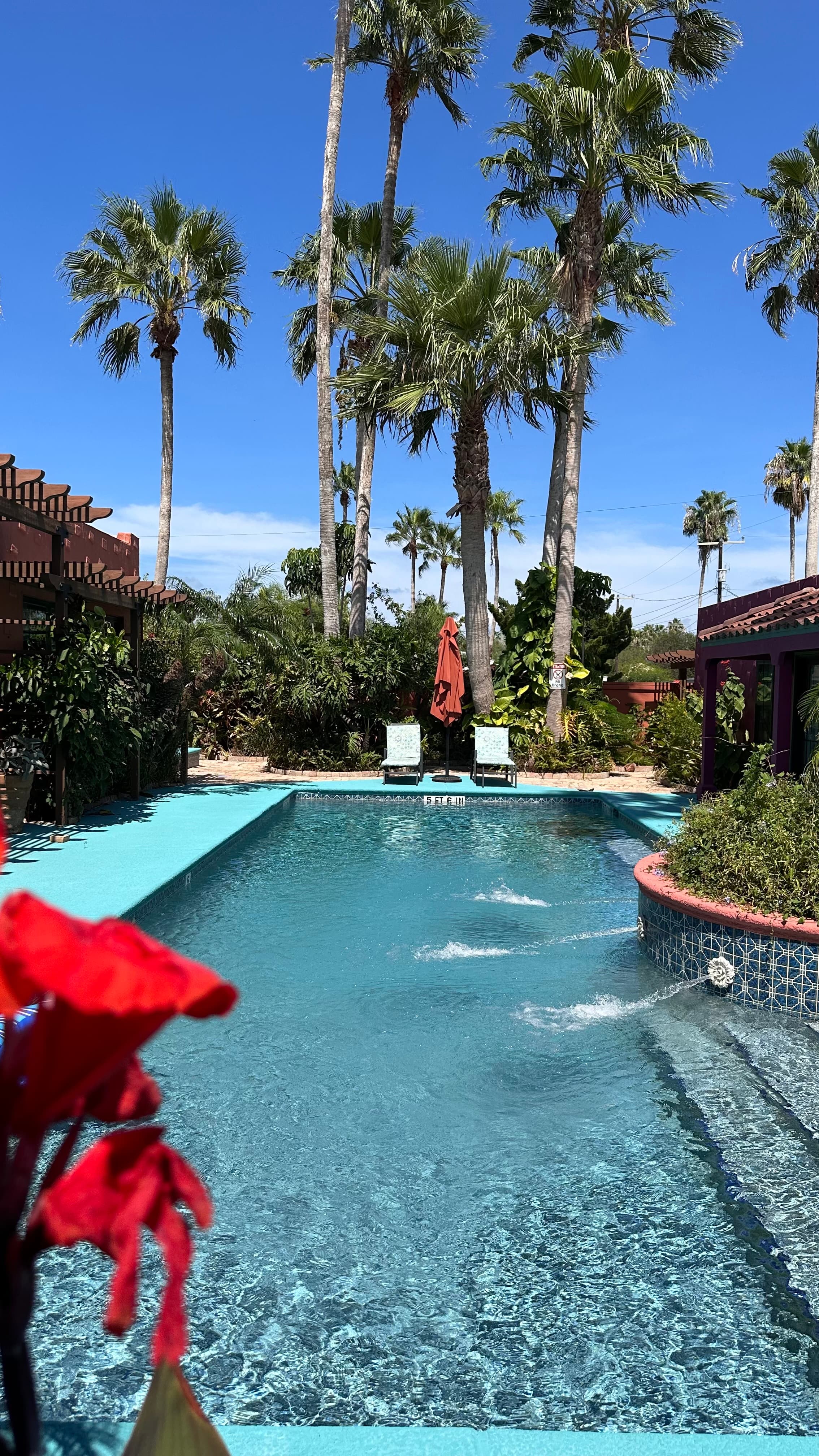 Palm trees by the pool on a sunny day.