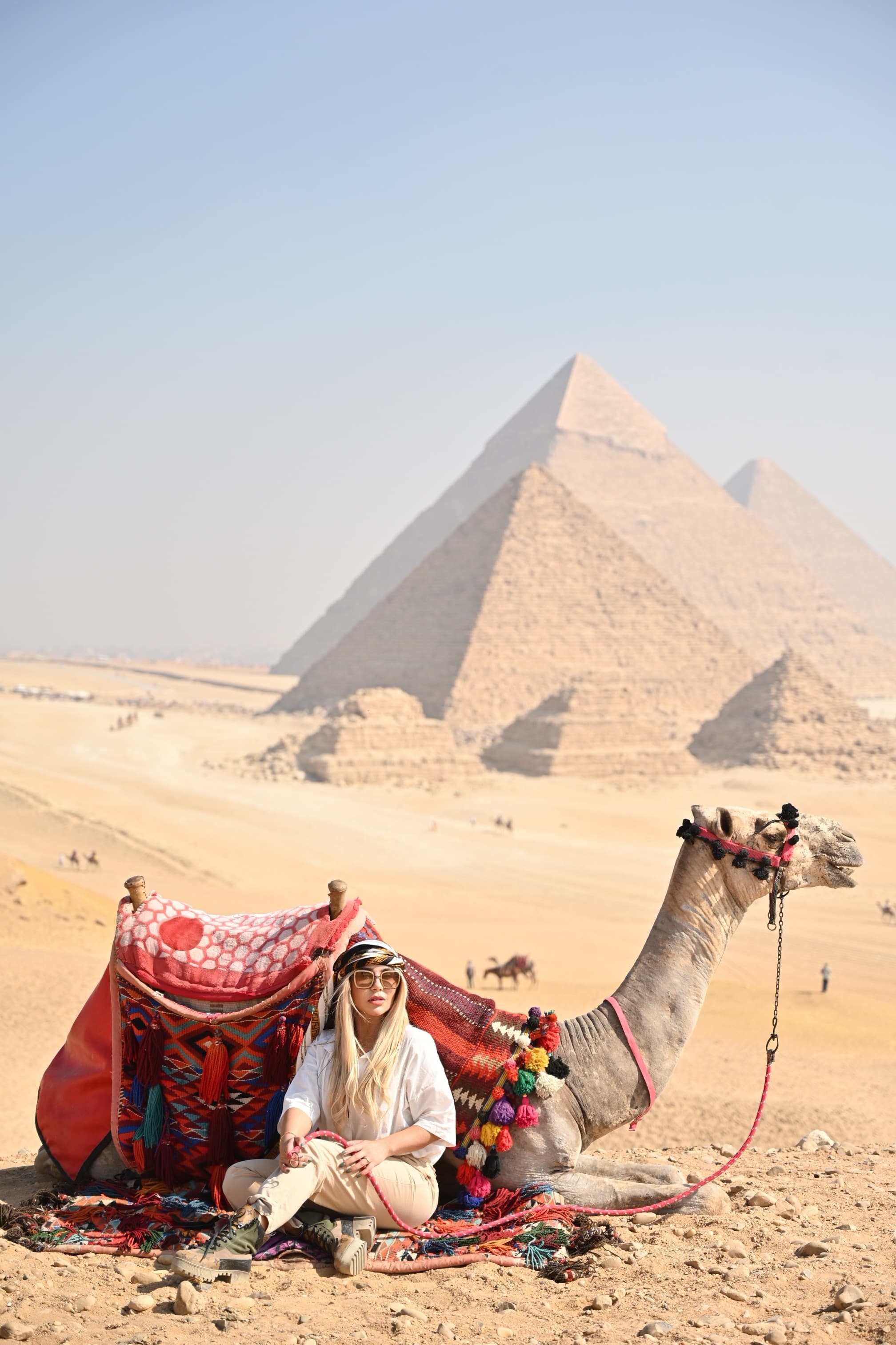 A view of a camel in the desert during the daytime. 