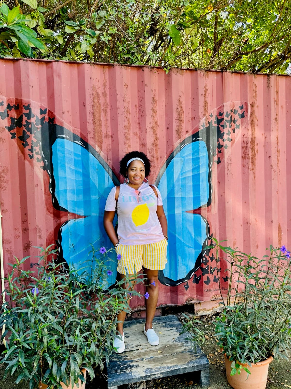 Butterfly art in Aruba.