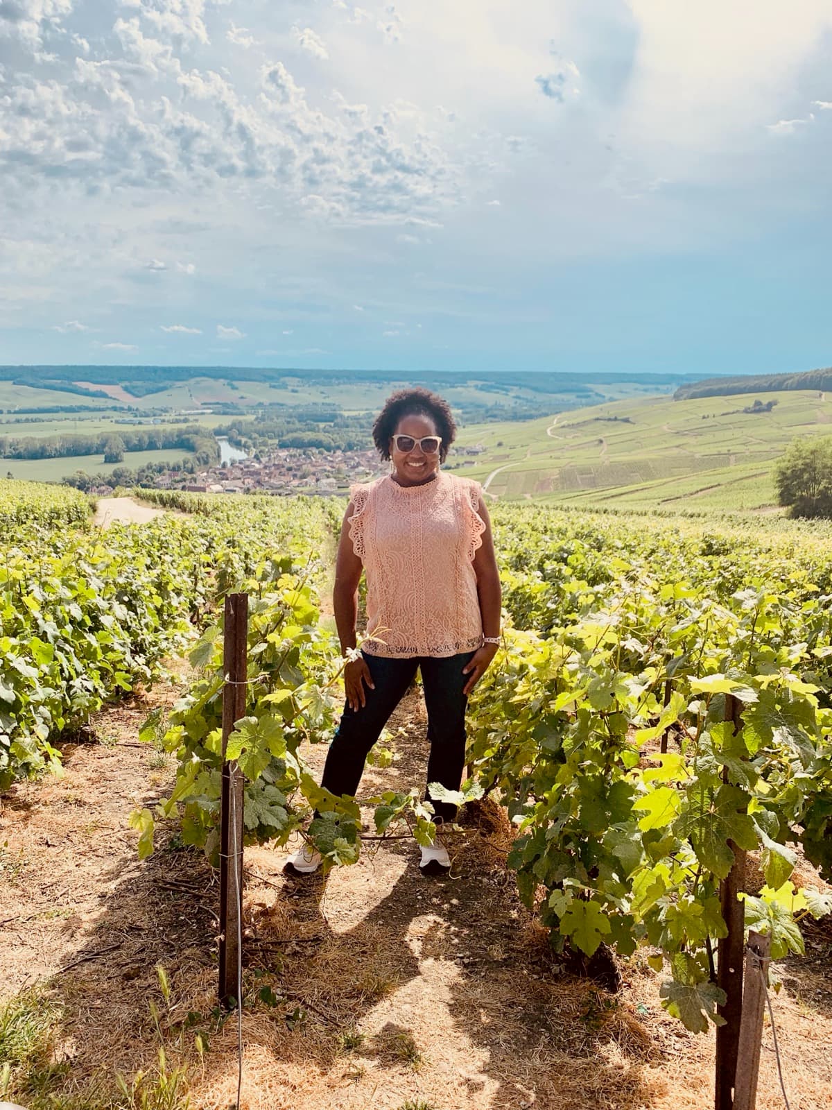 Vineyard during the day.