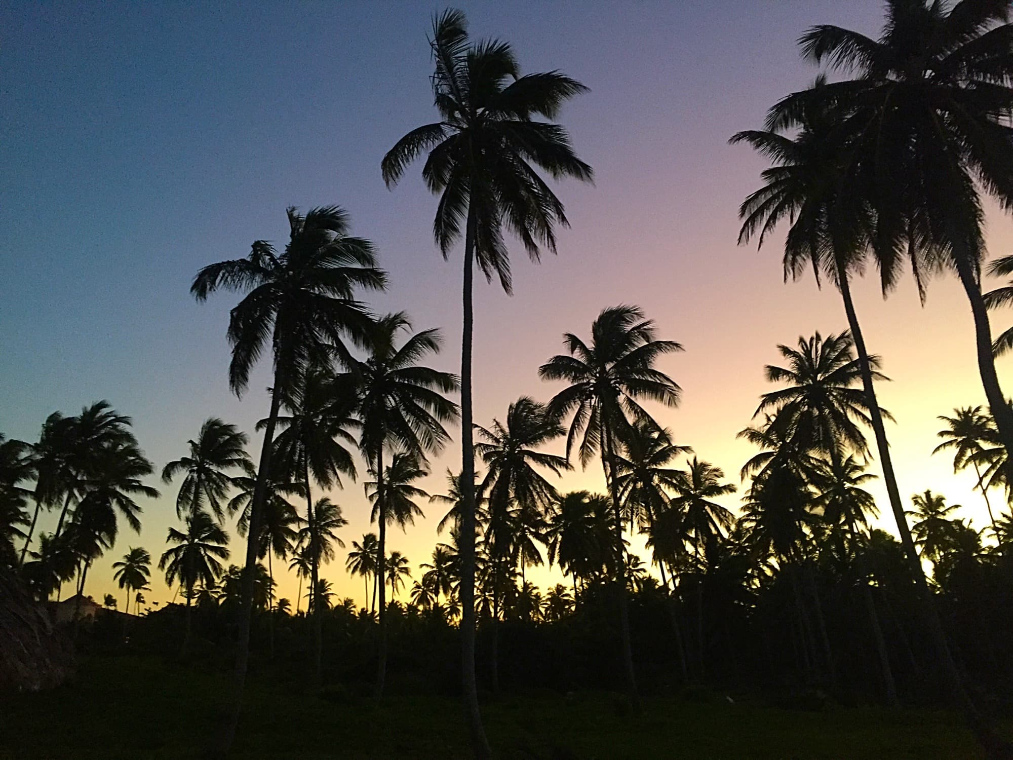 Travel photo 5