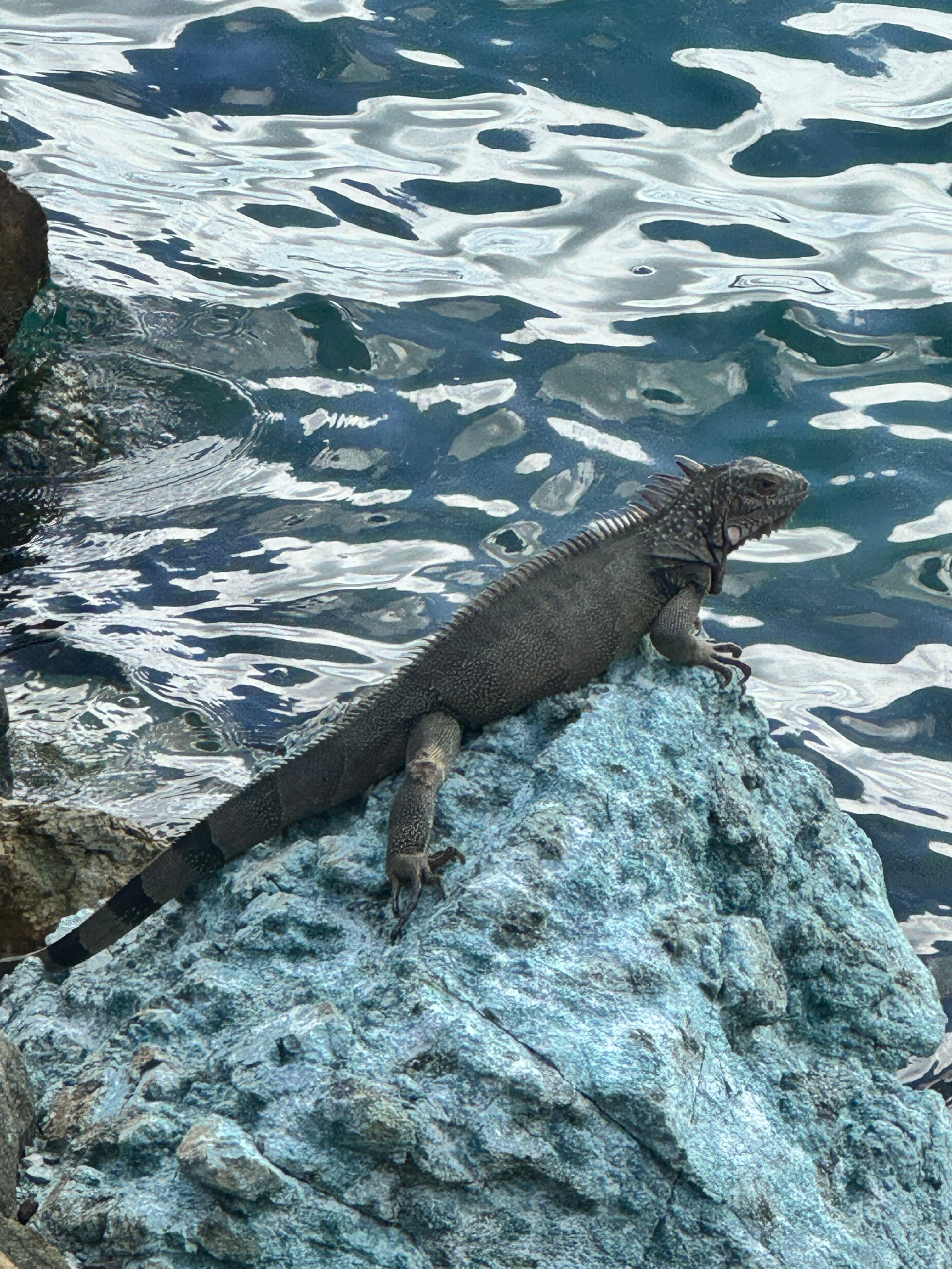 Travel photo 2