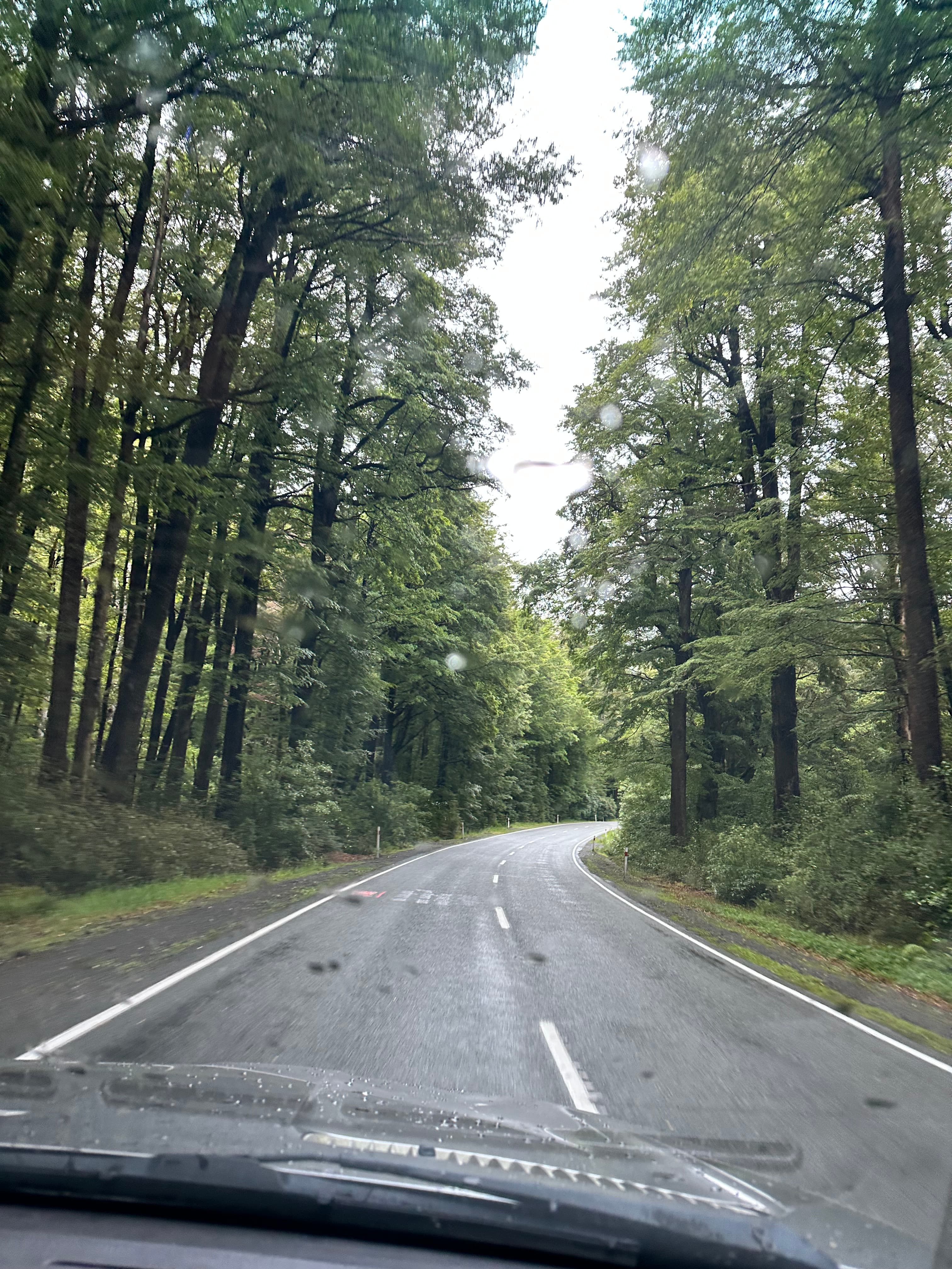 Travel photo 1