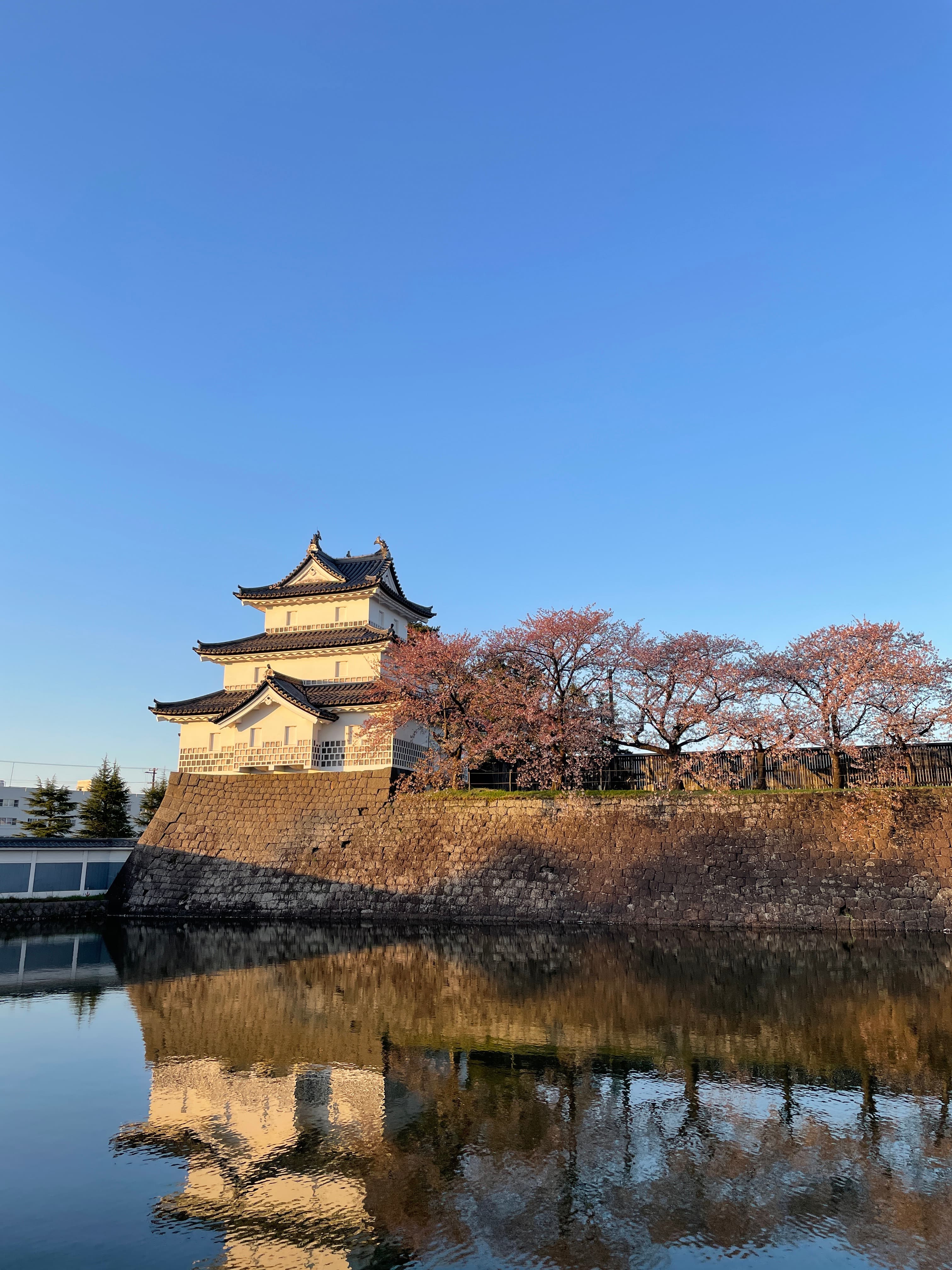 Travel photo 4