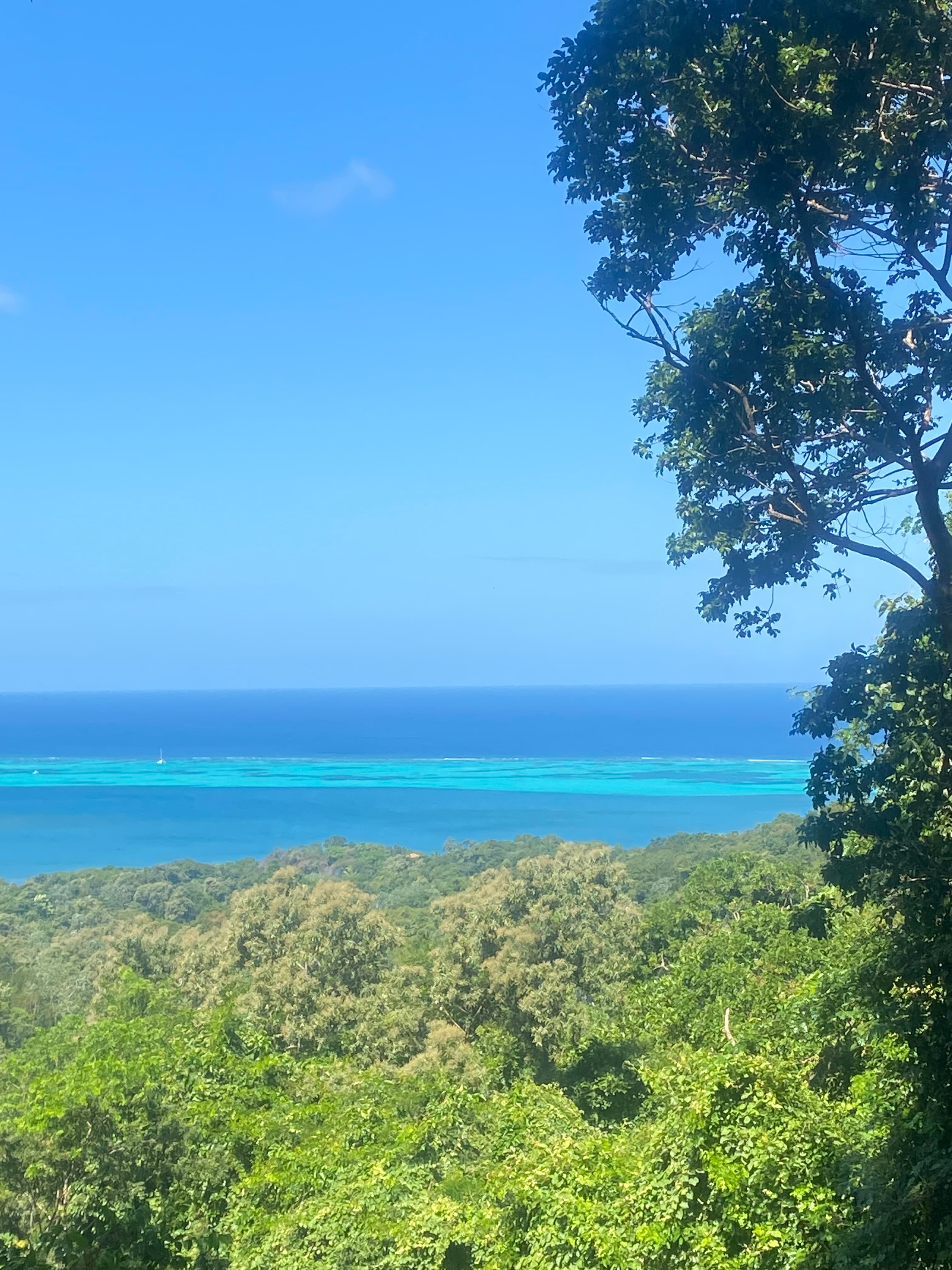 Travel photo 1