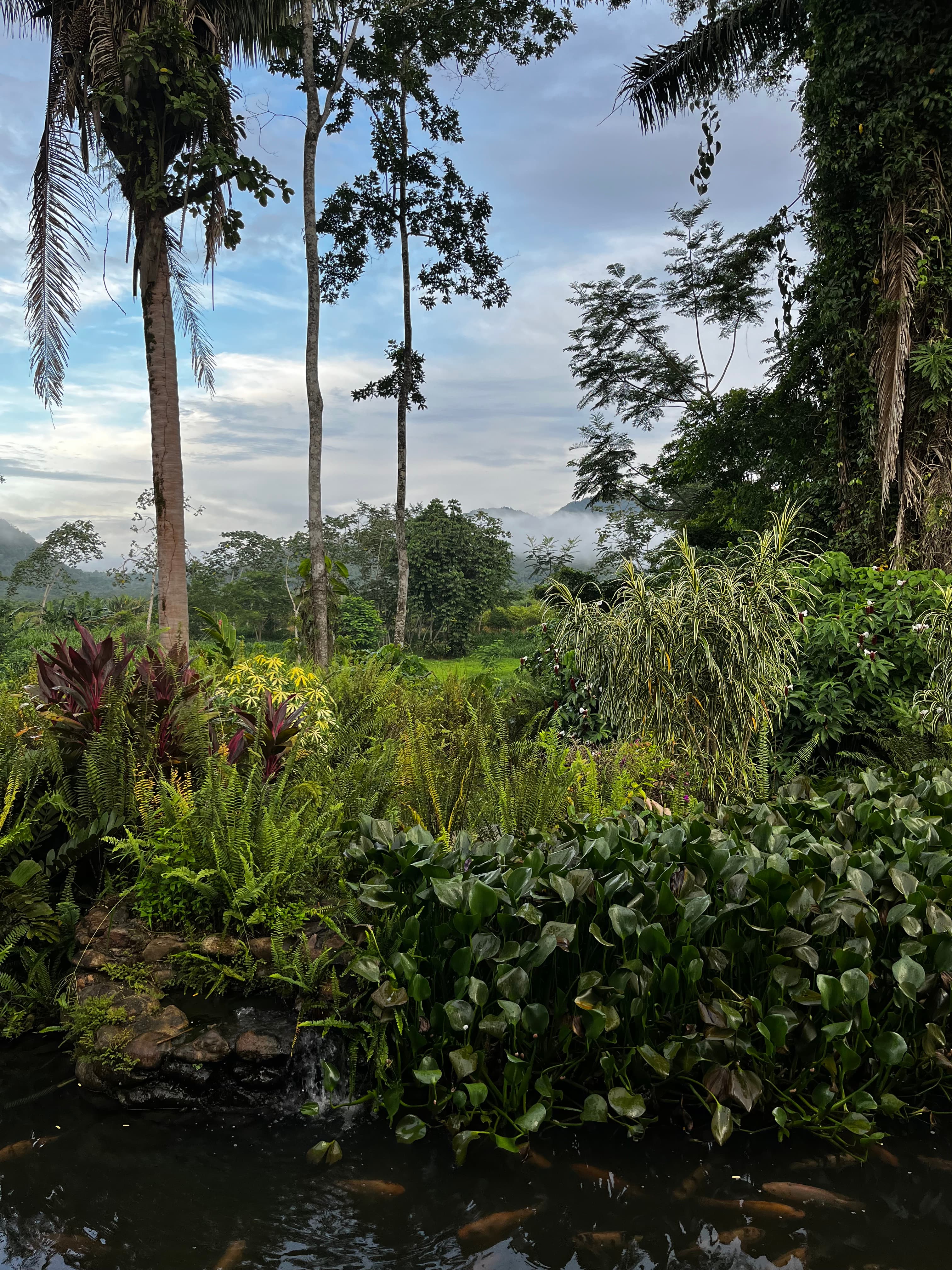Travel photo 3