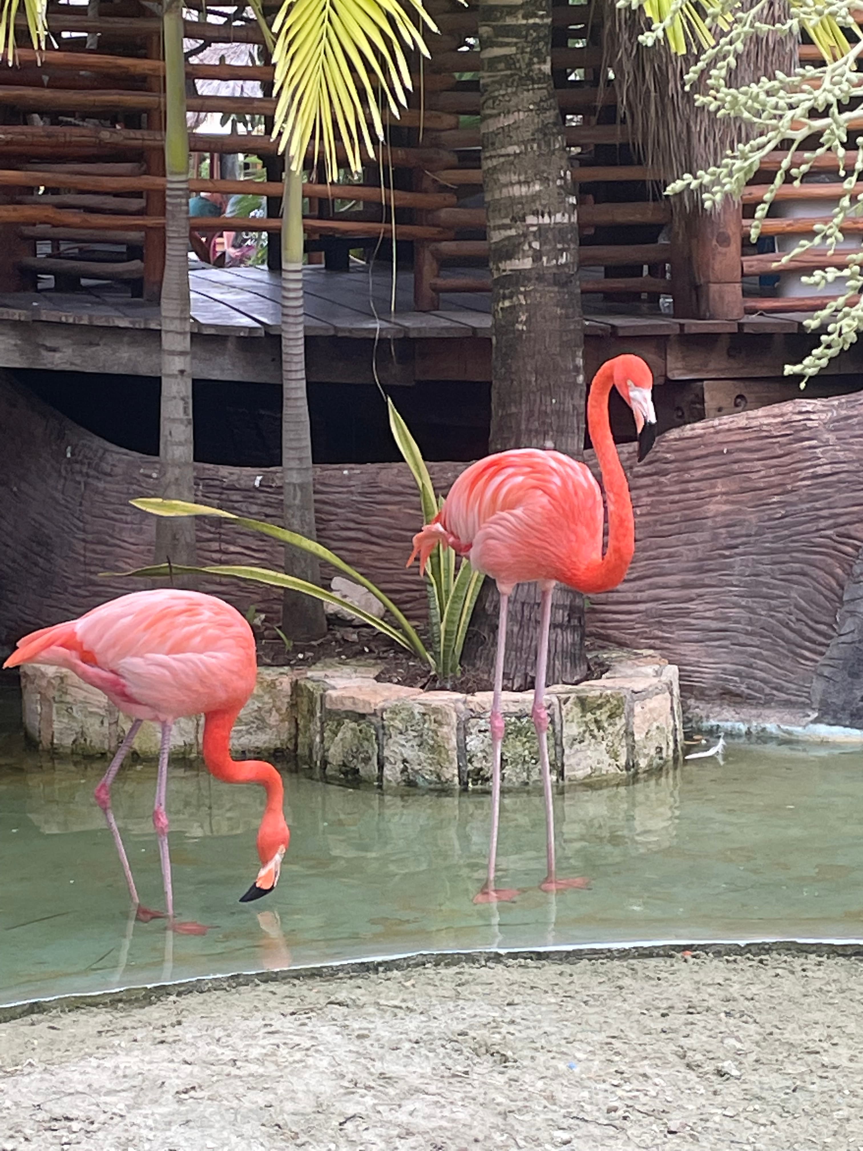 Travel photo 5