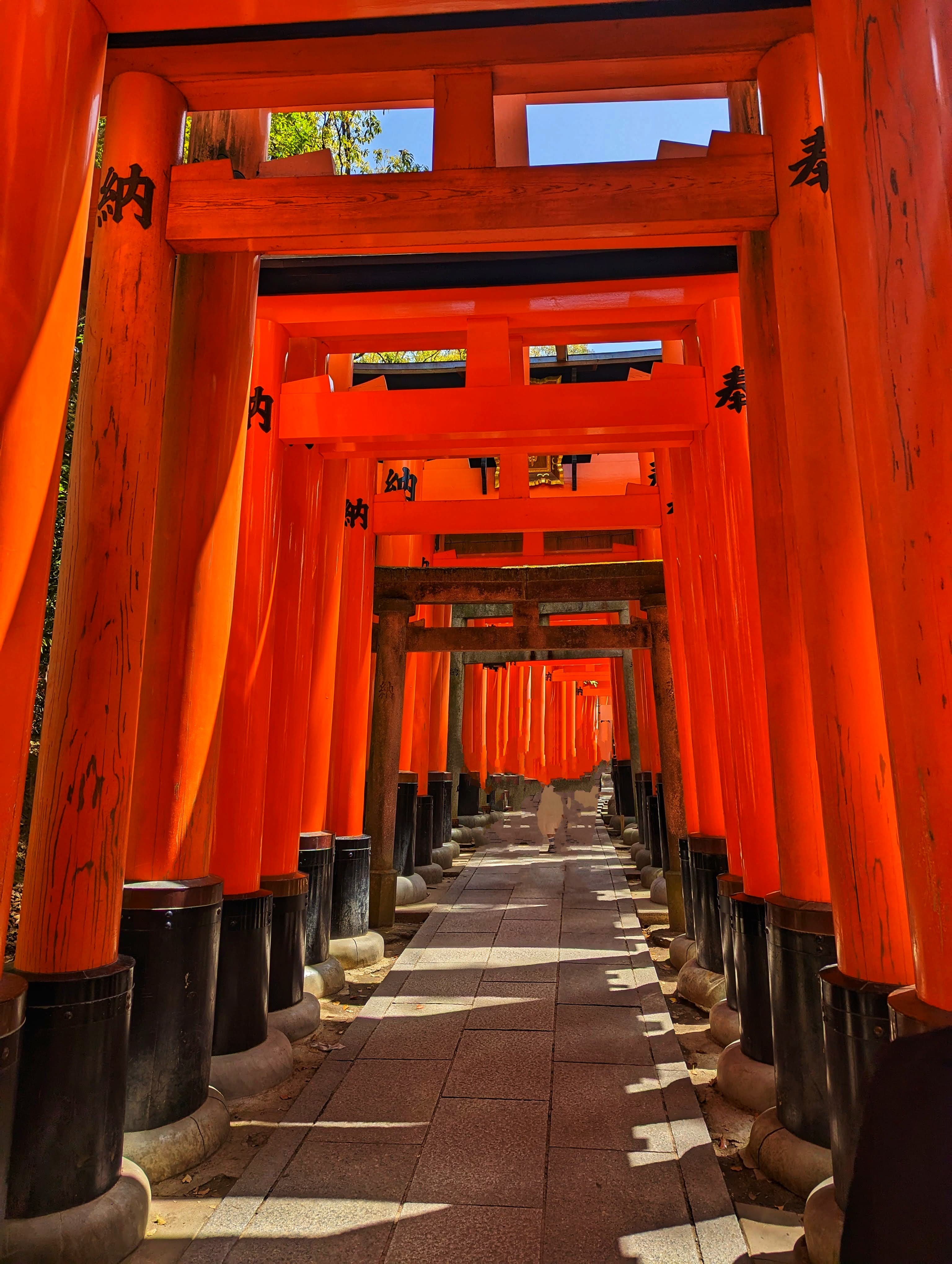 Travel photo 4
