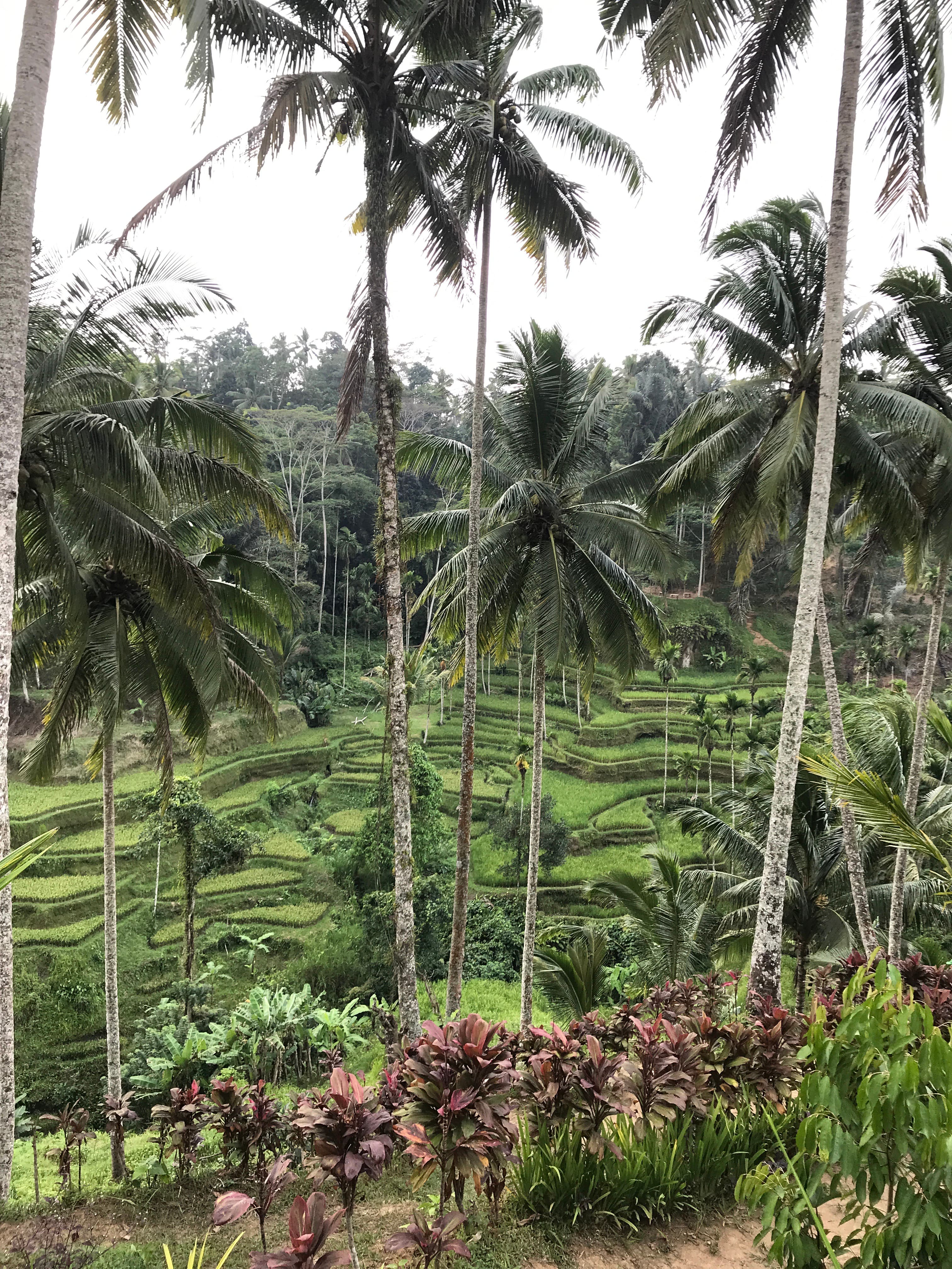 Travel photo 1