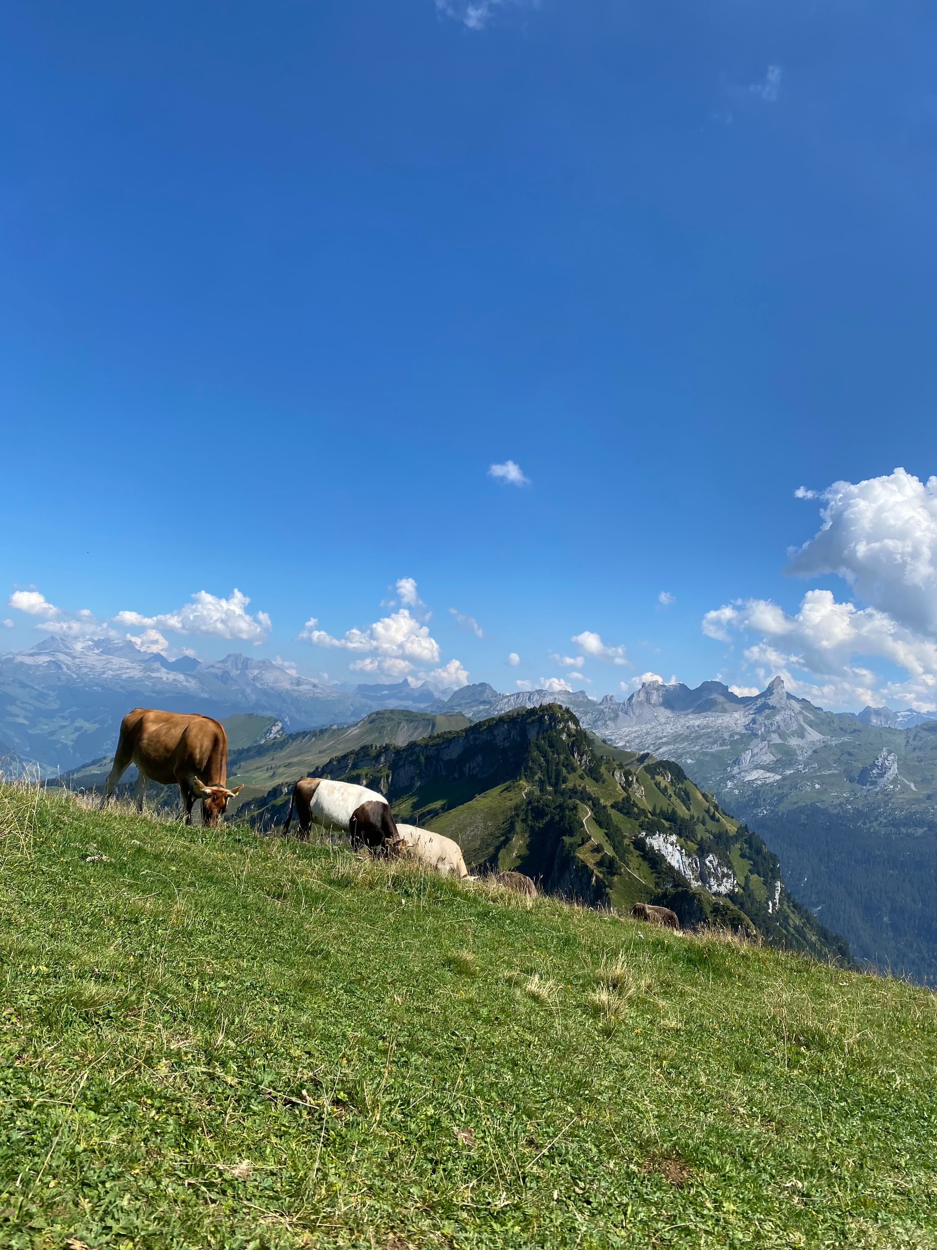 Travel photo 4