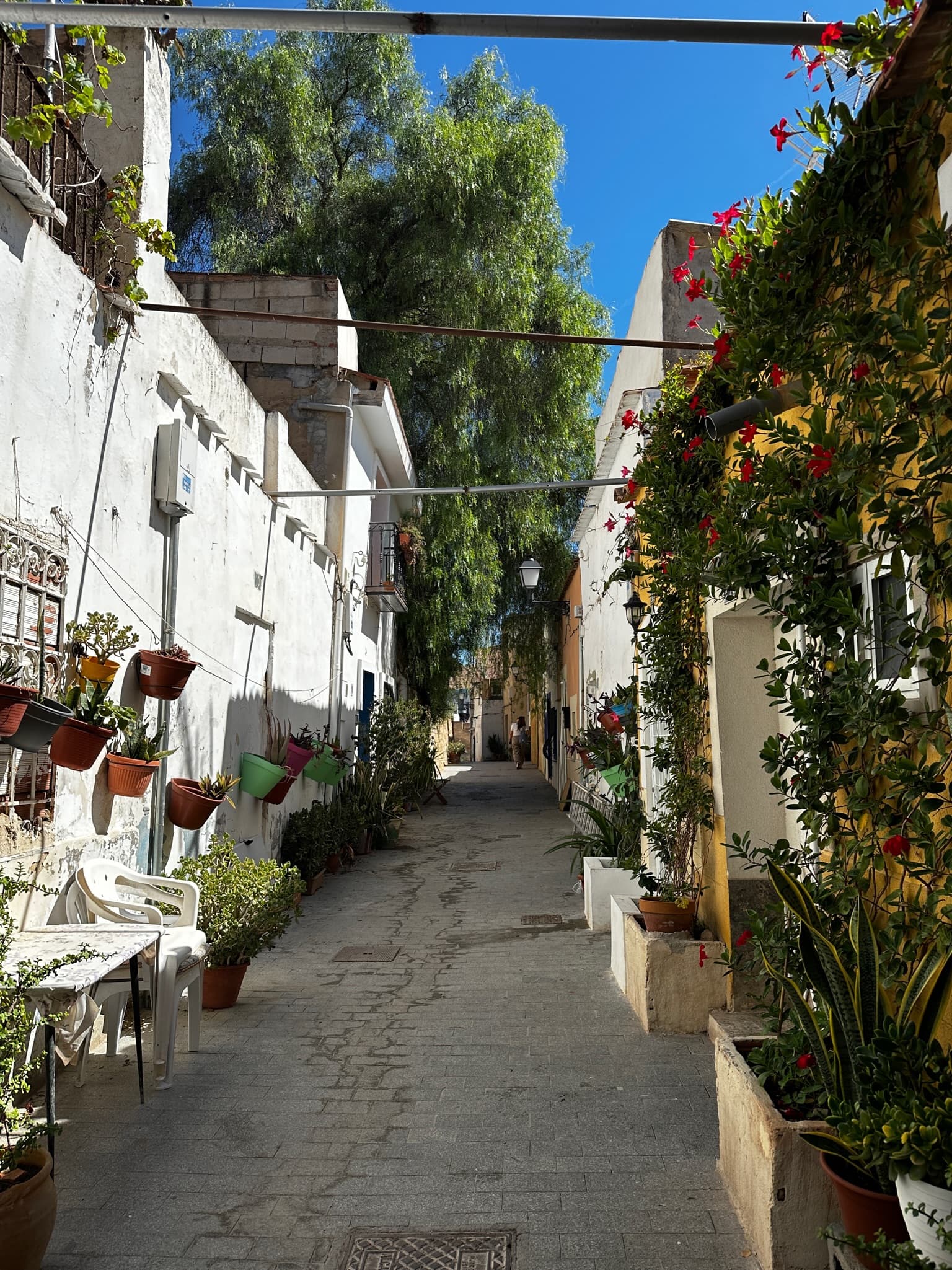 Travel photo 5