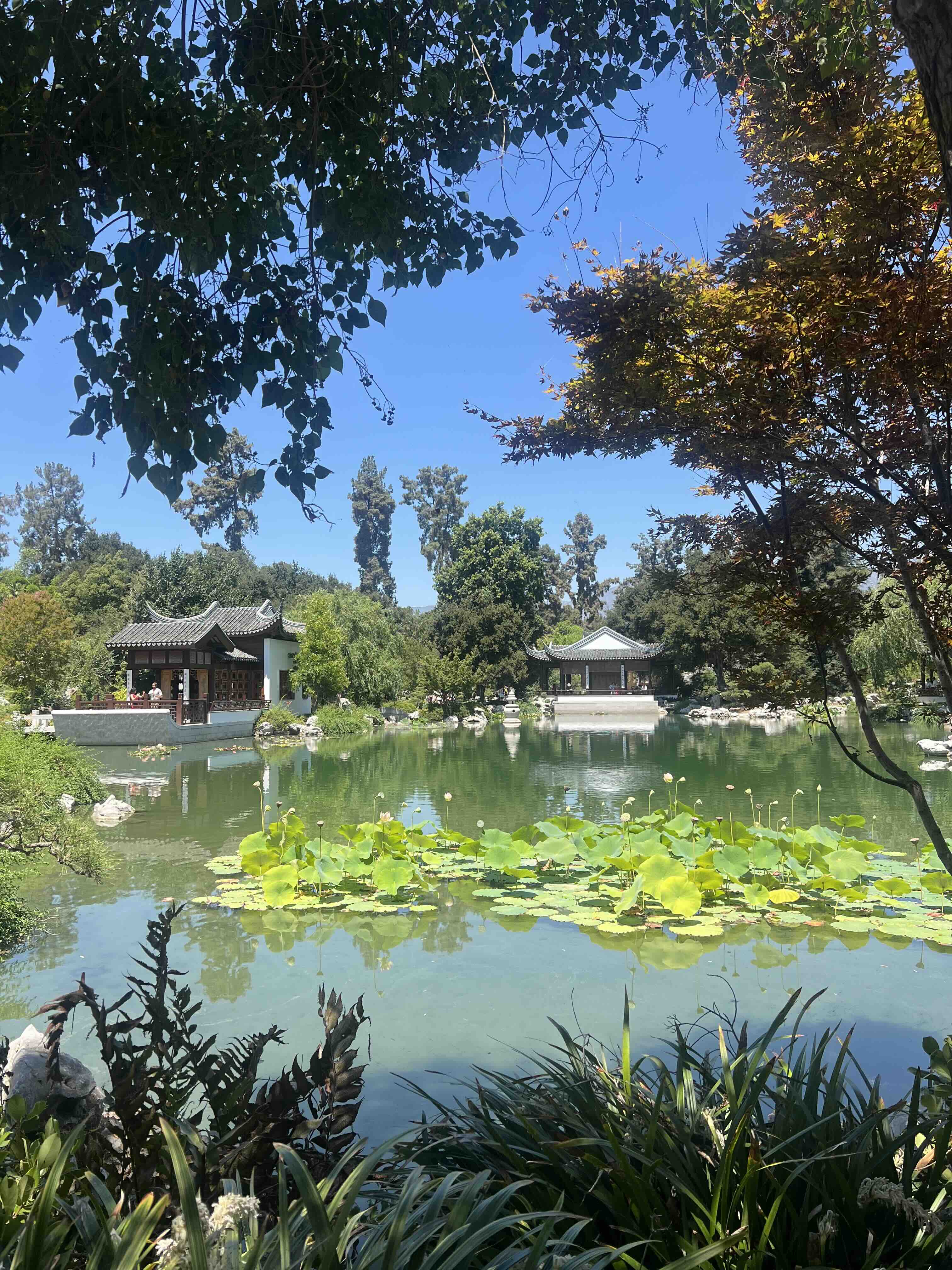 Travel photo 4