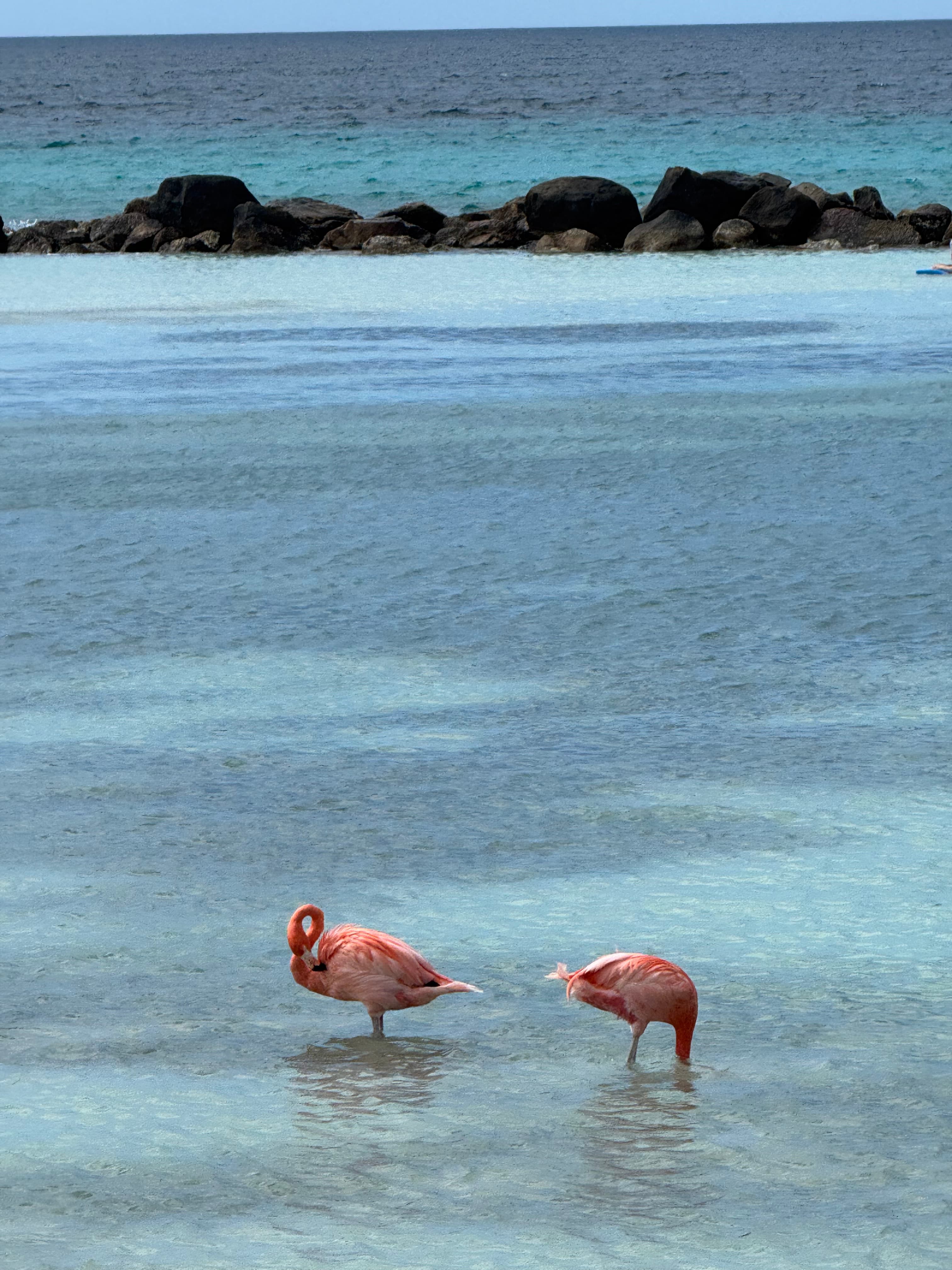 Travel photo 4