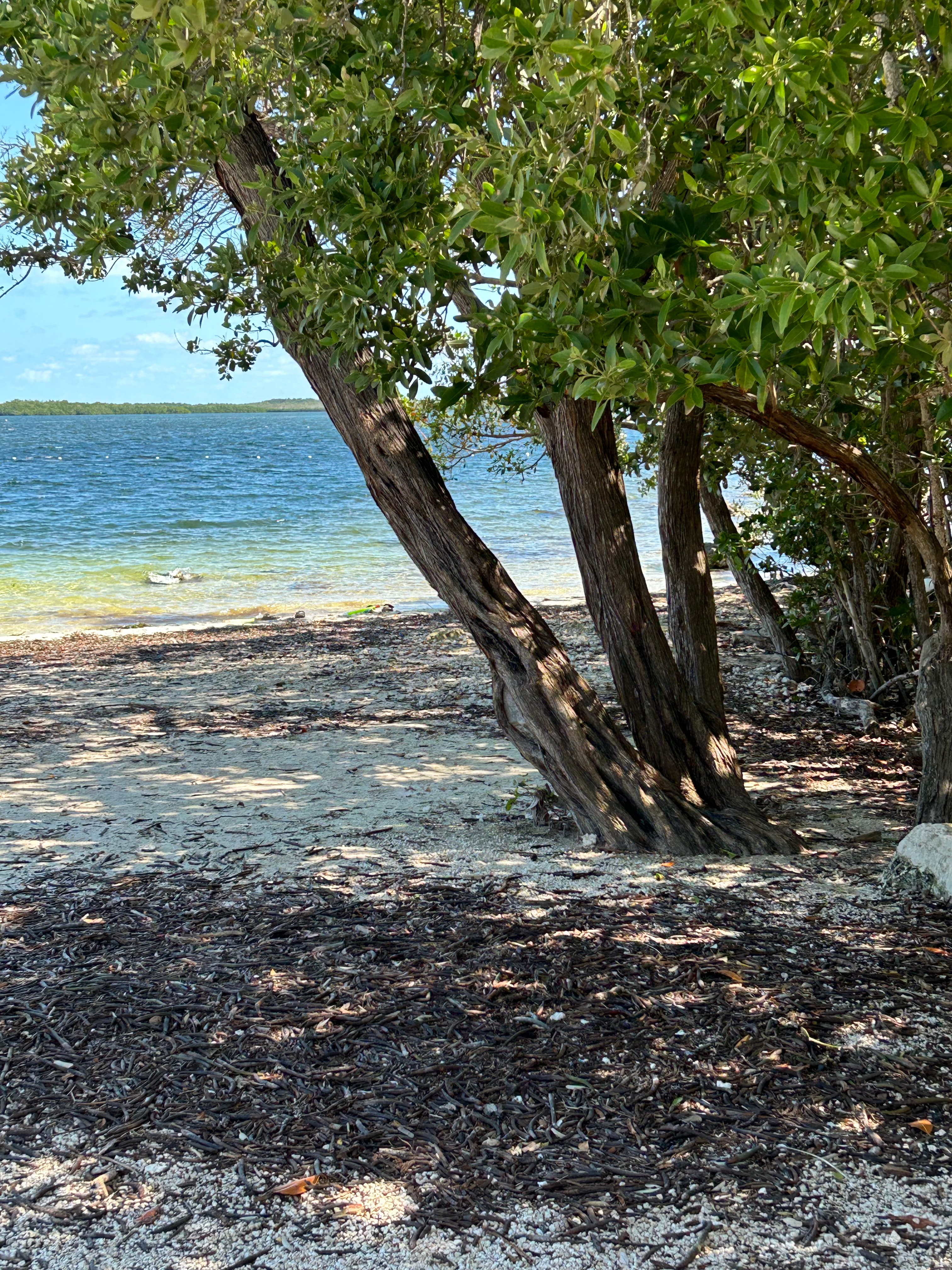 Travel photo 4