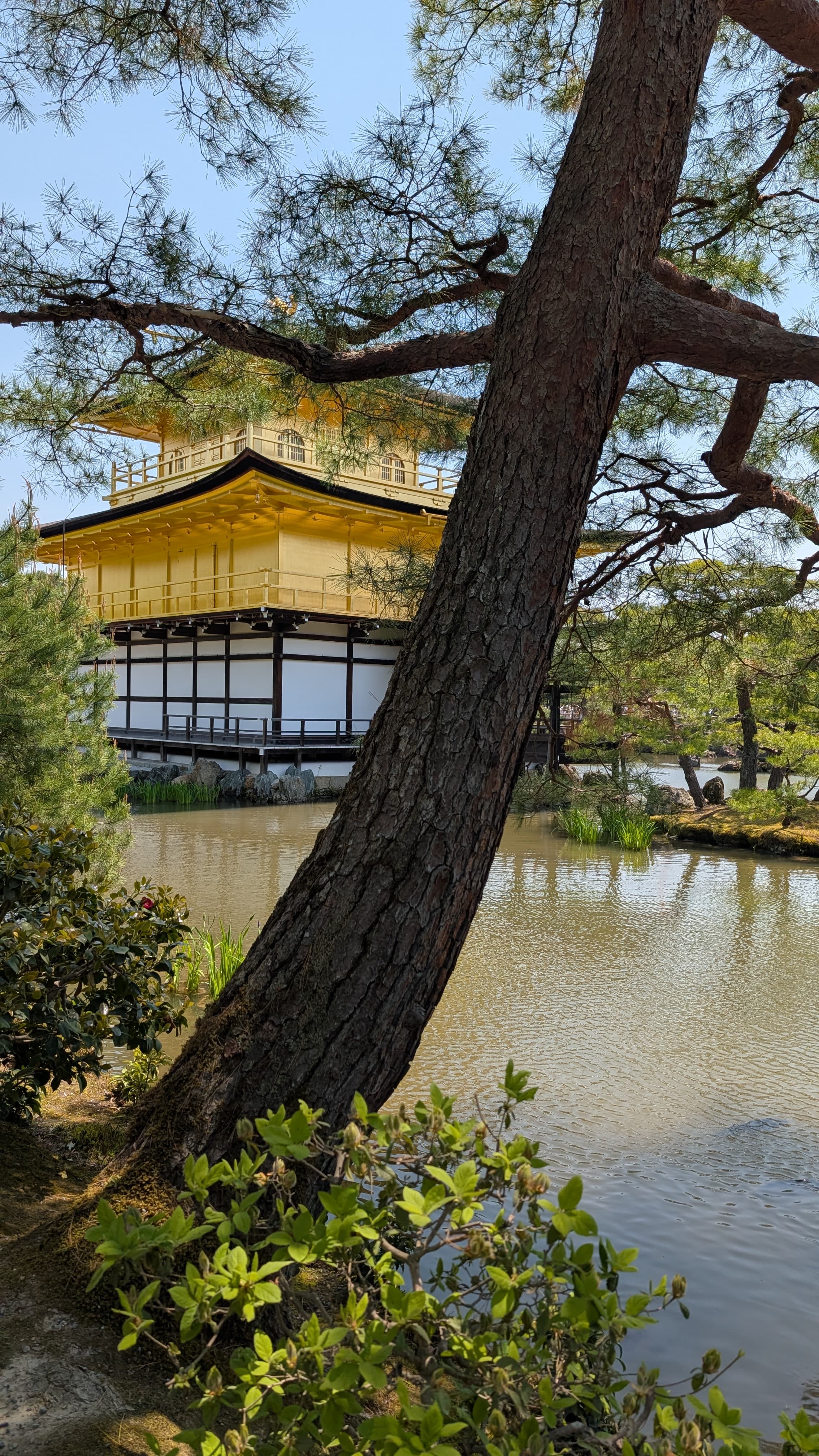 Travel photo 4
