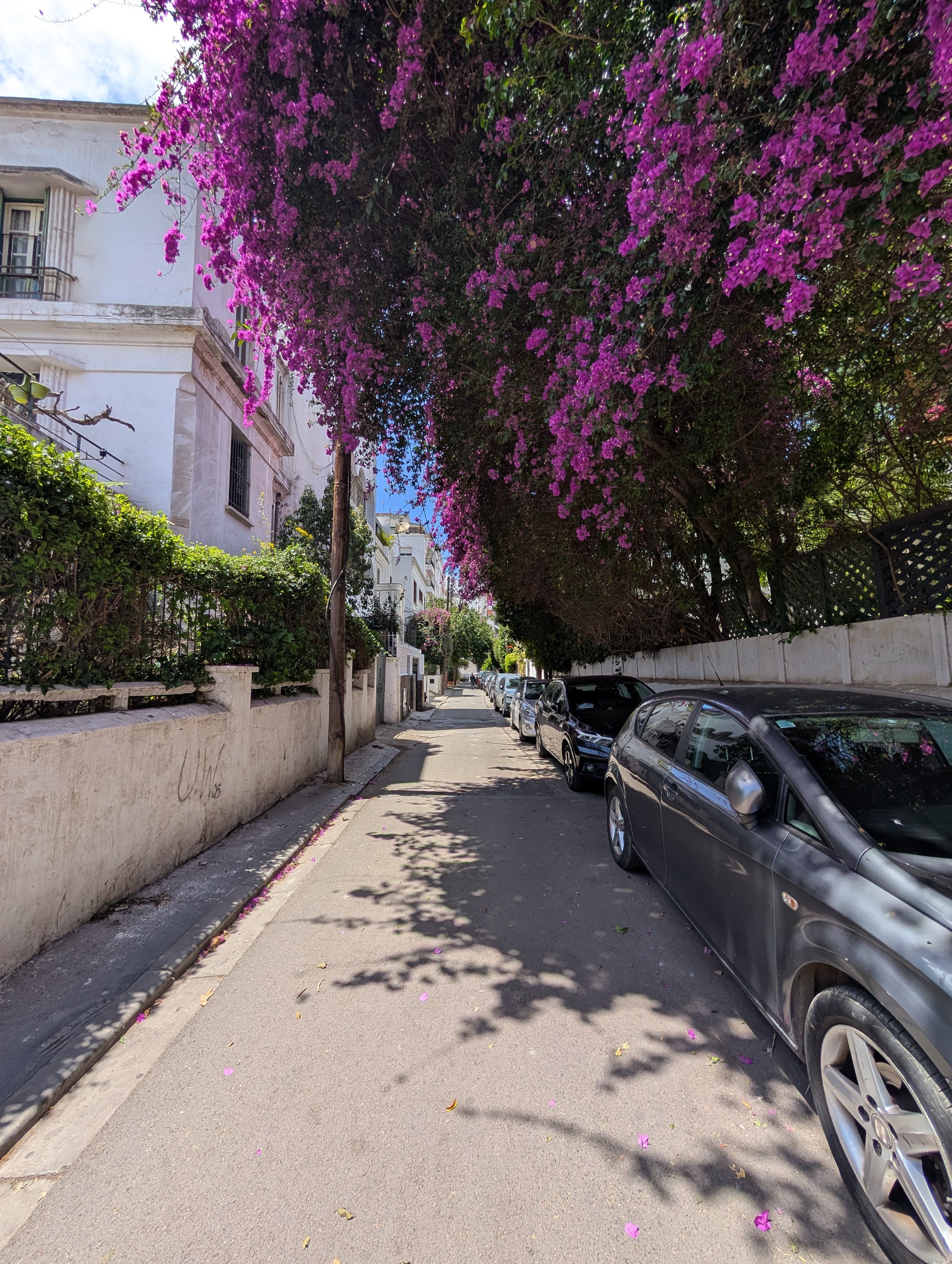 Travel photo 4