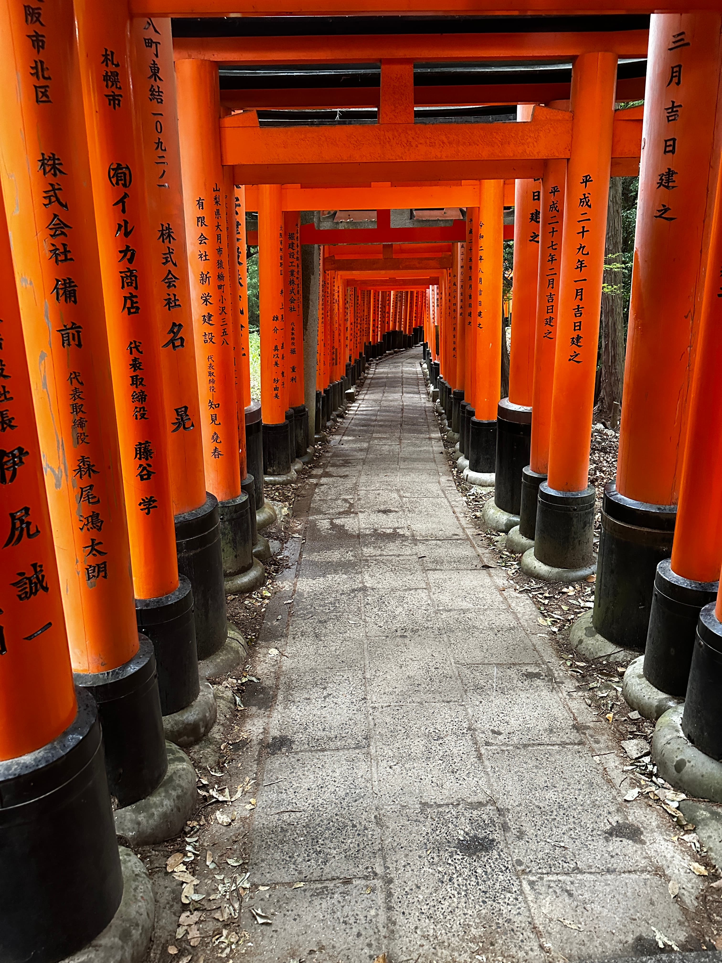 Travel photo 2