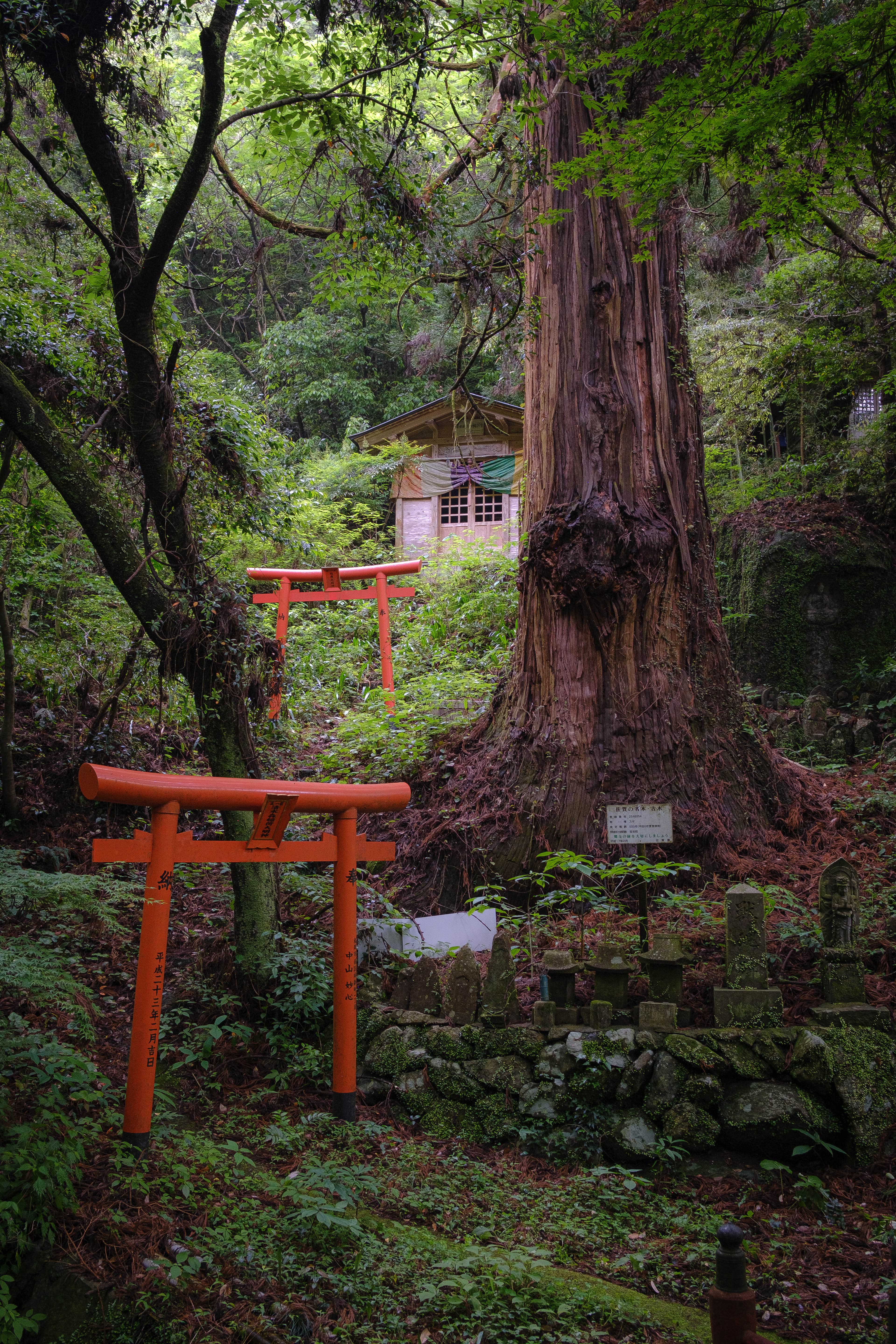 Travel photo 3