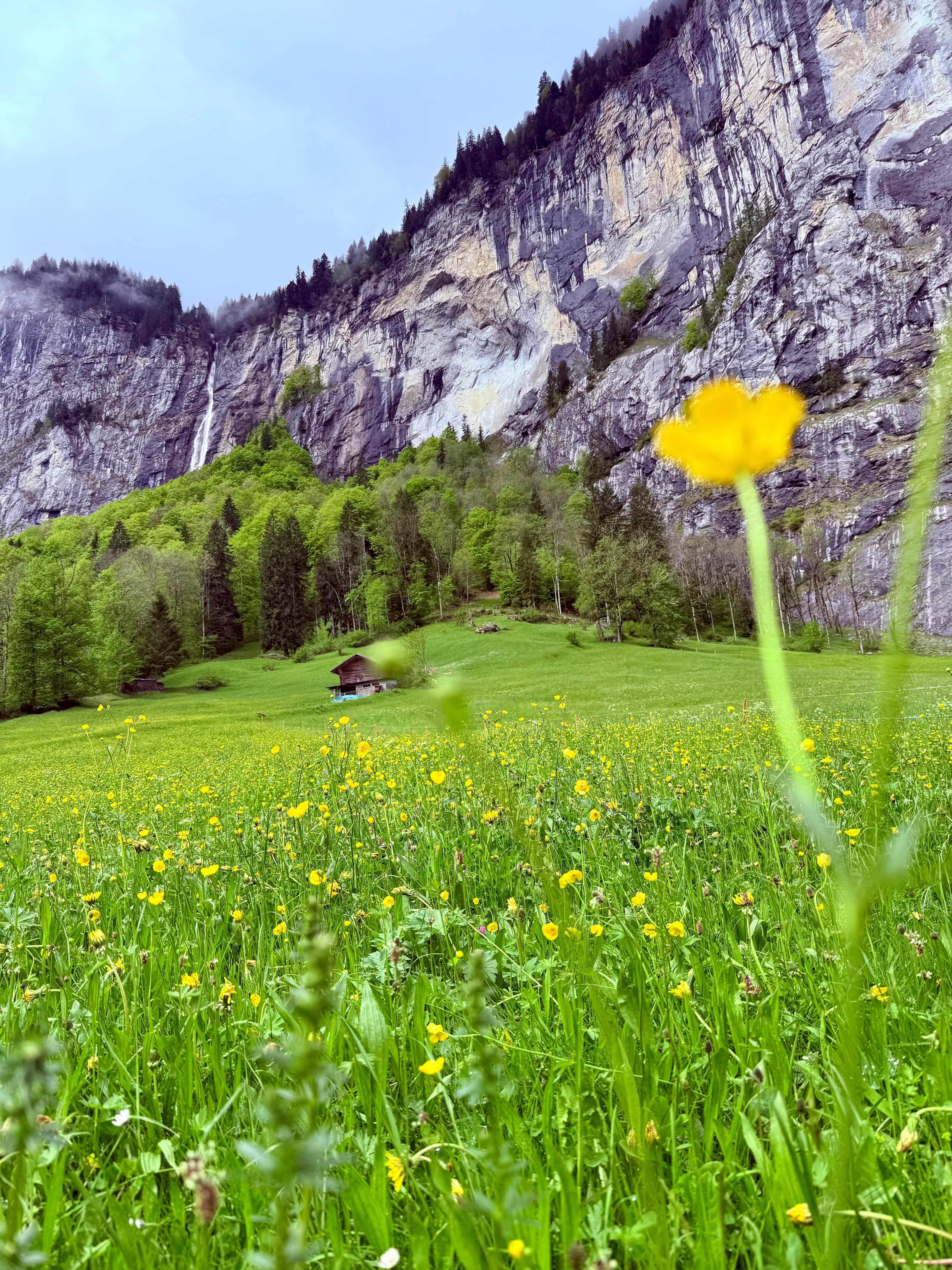 Travel photo 5