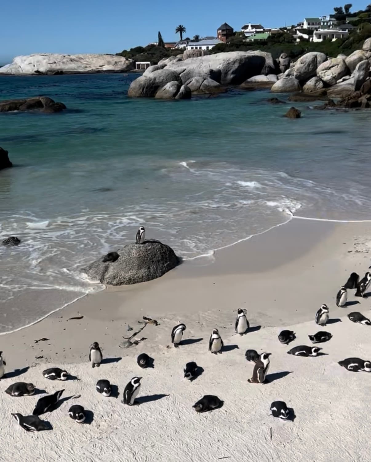 Travel photo 1