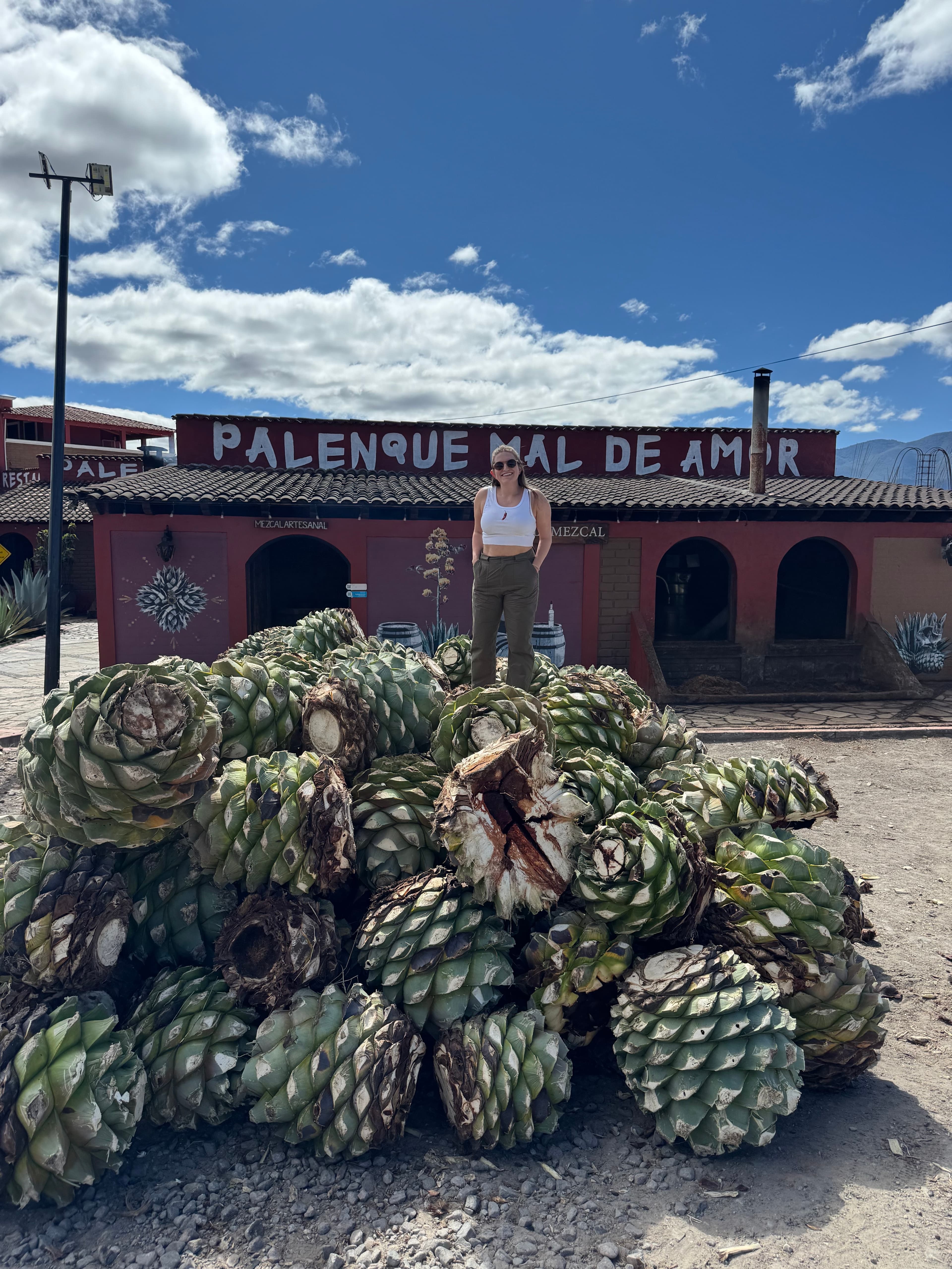 Travel photo 3