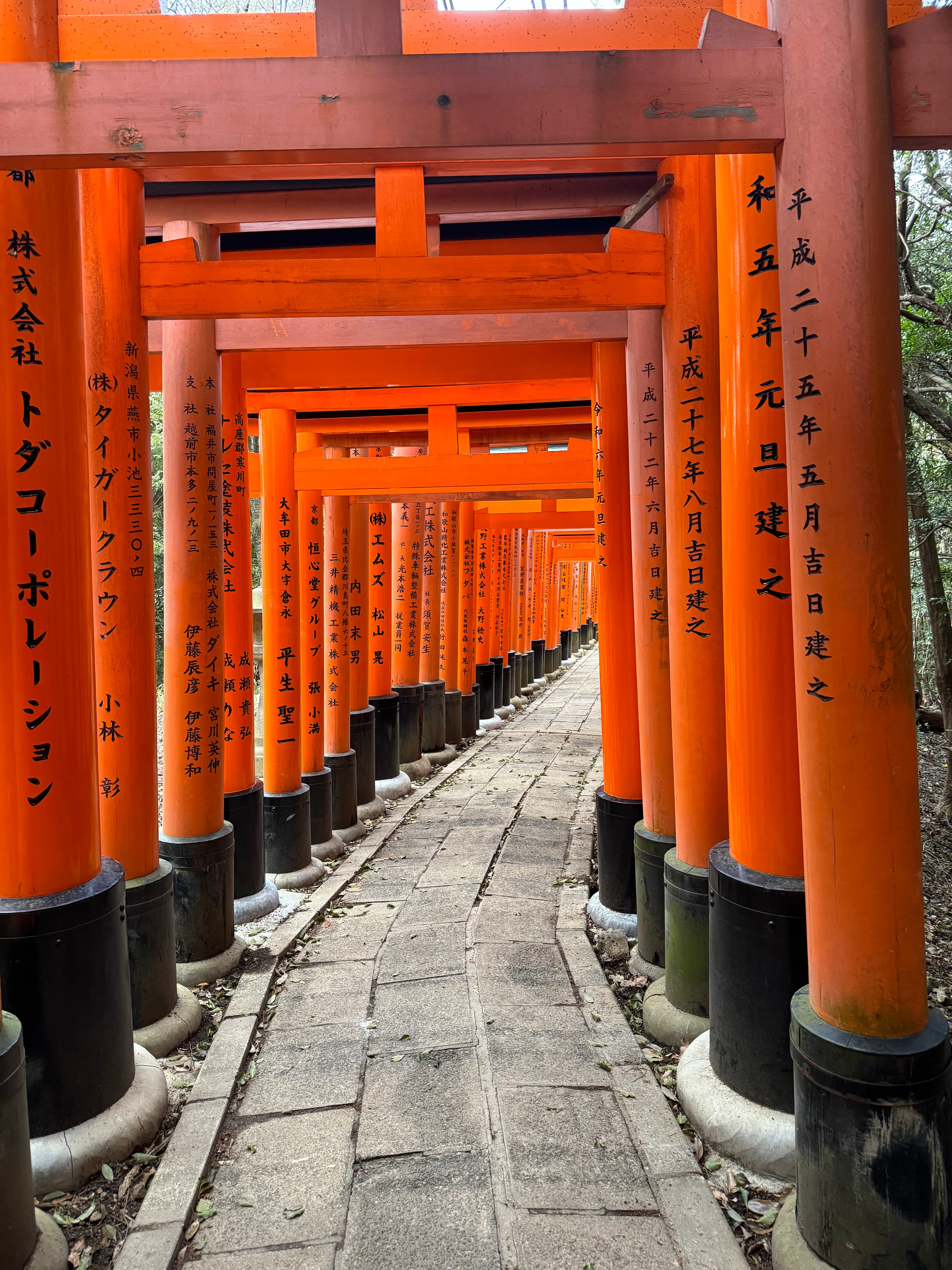 Travel photo 4