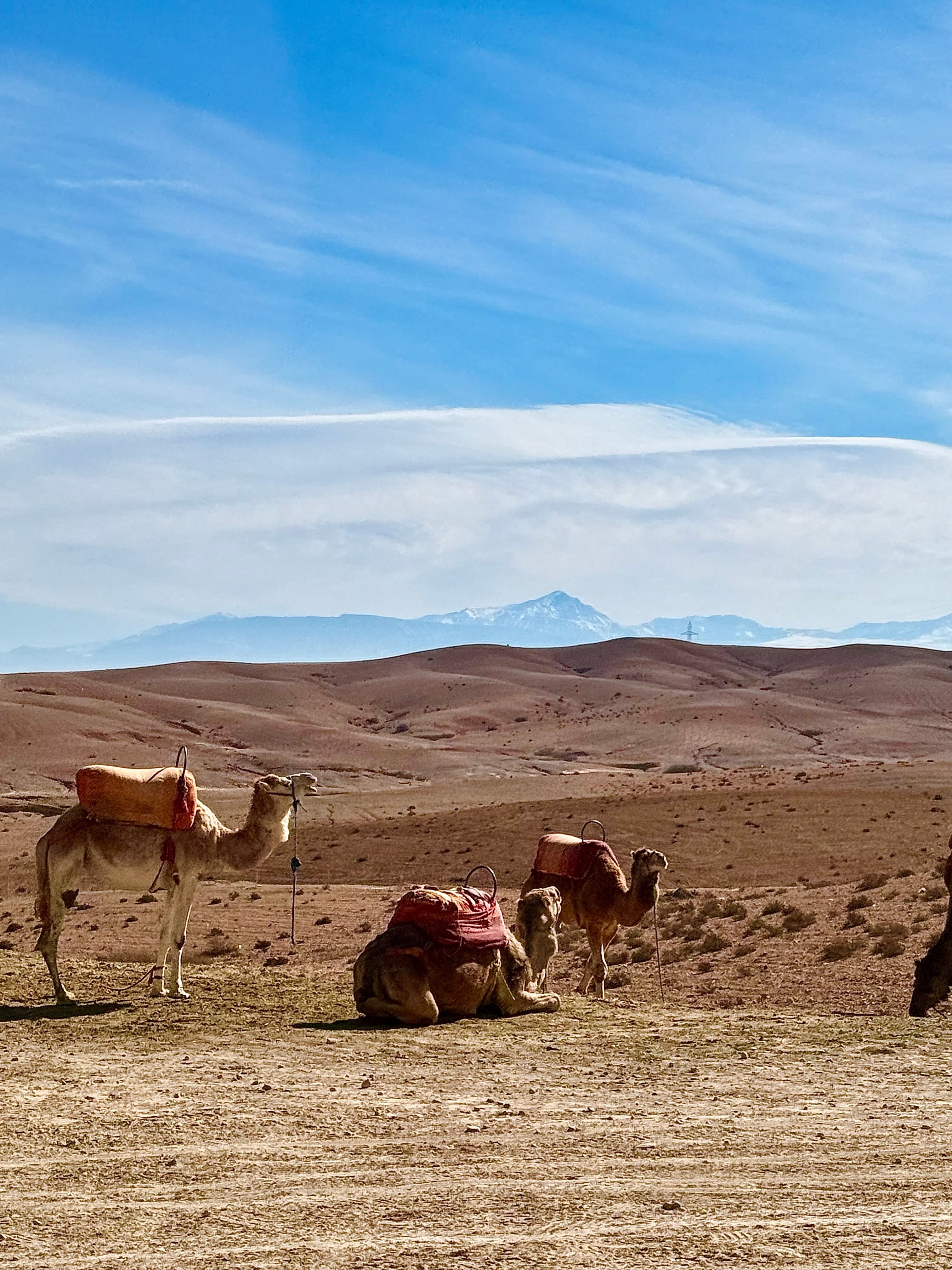 Travel photo 2