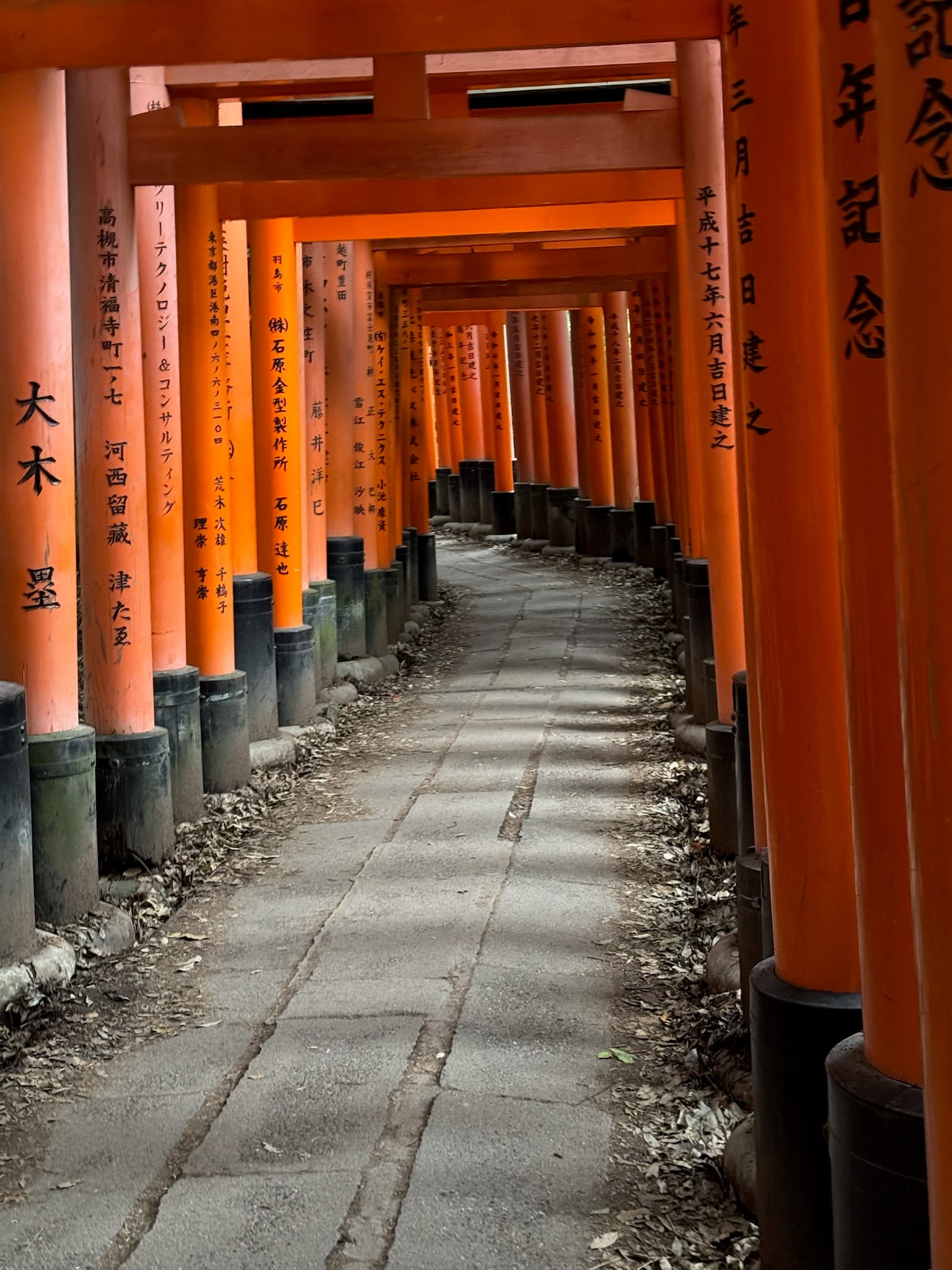 Travel photo 1
