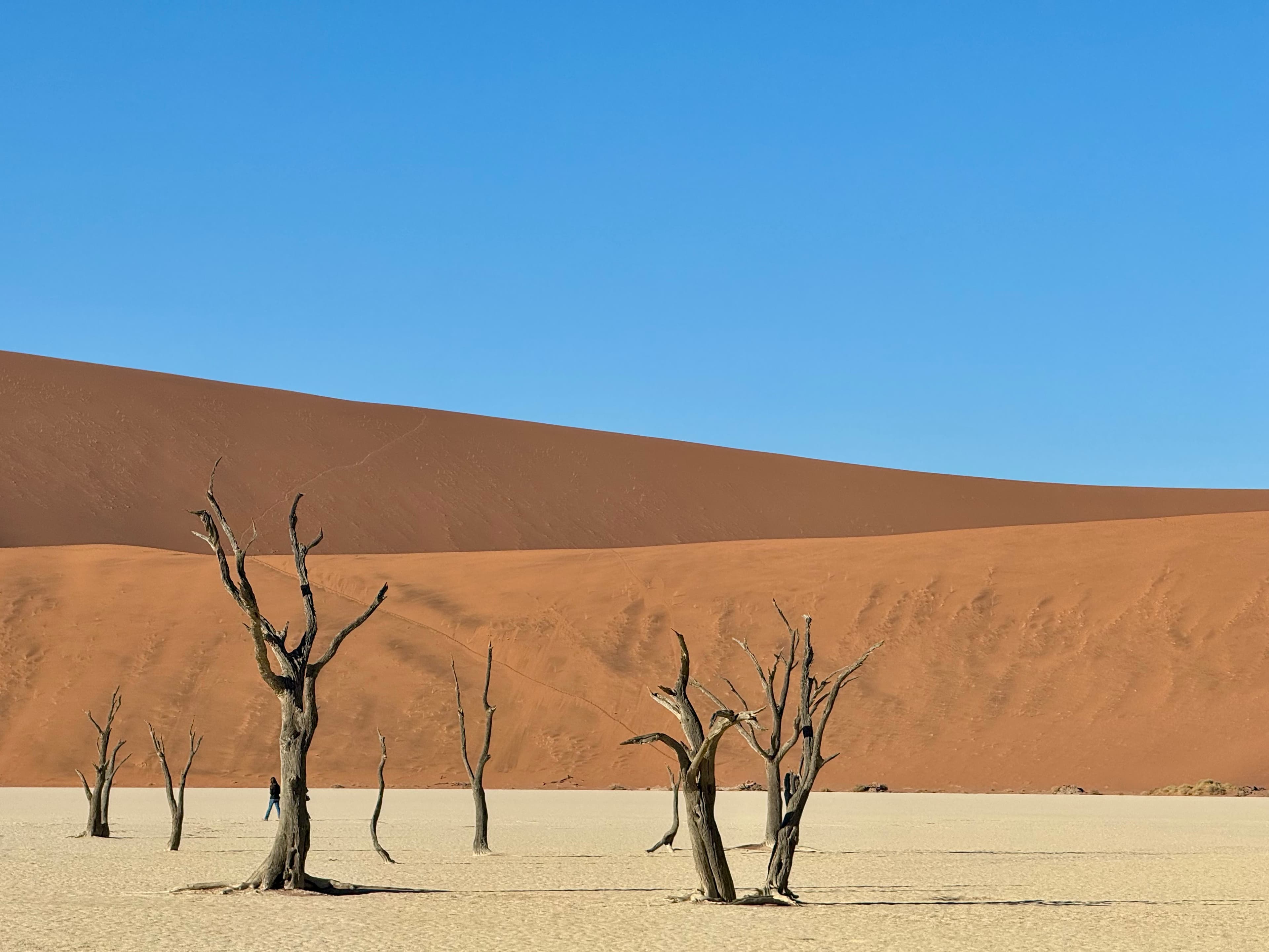 Travel photo 4