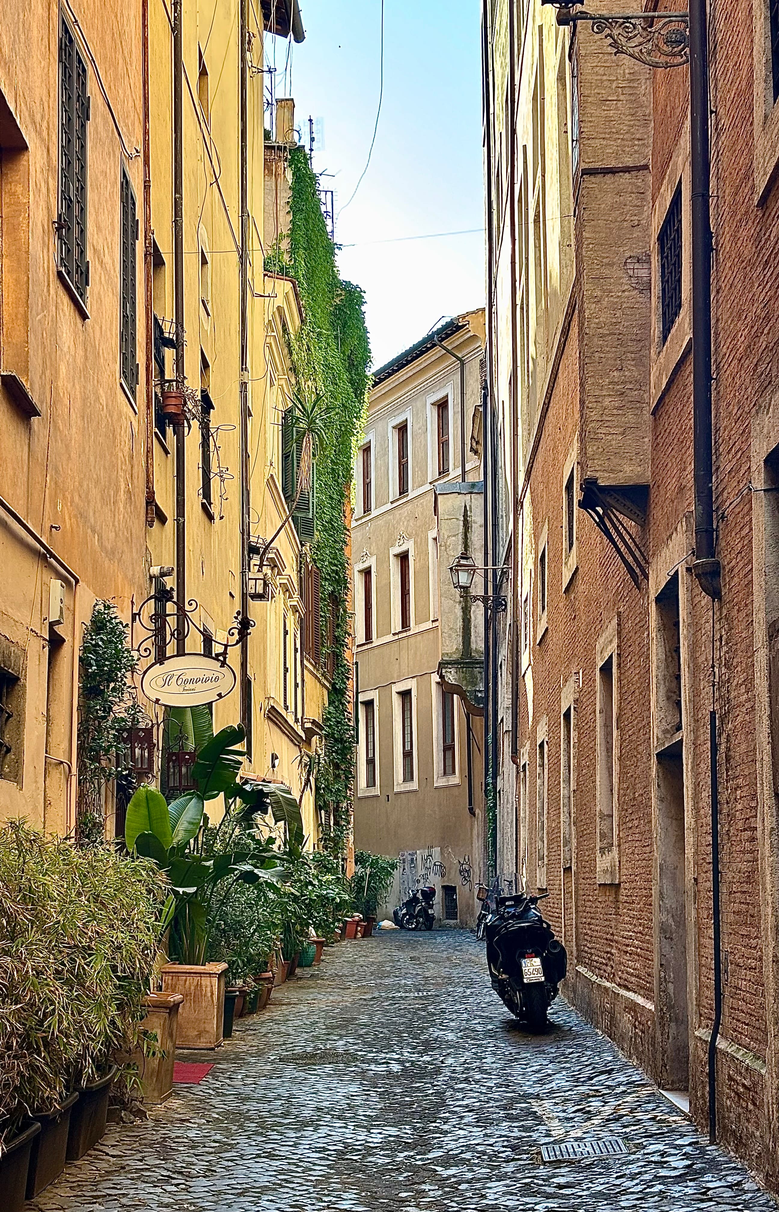 Travel photo 10
