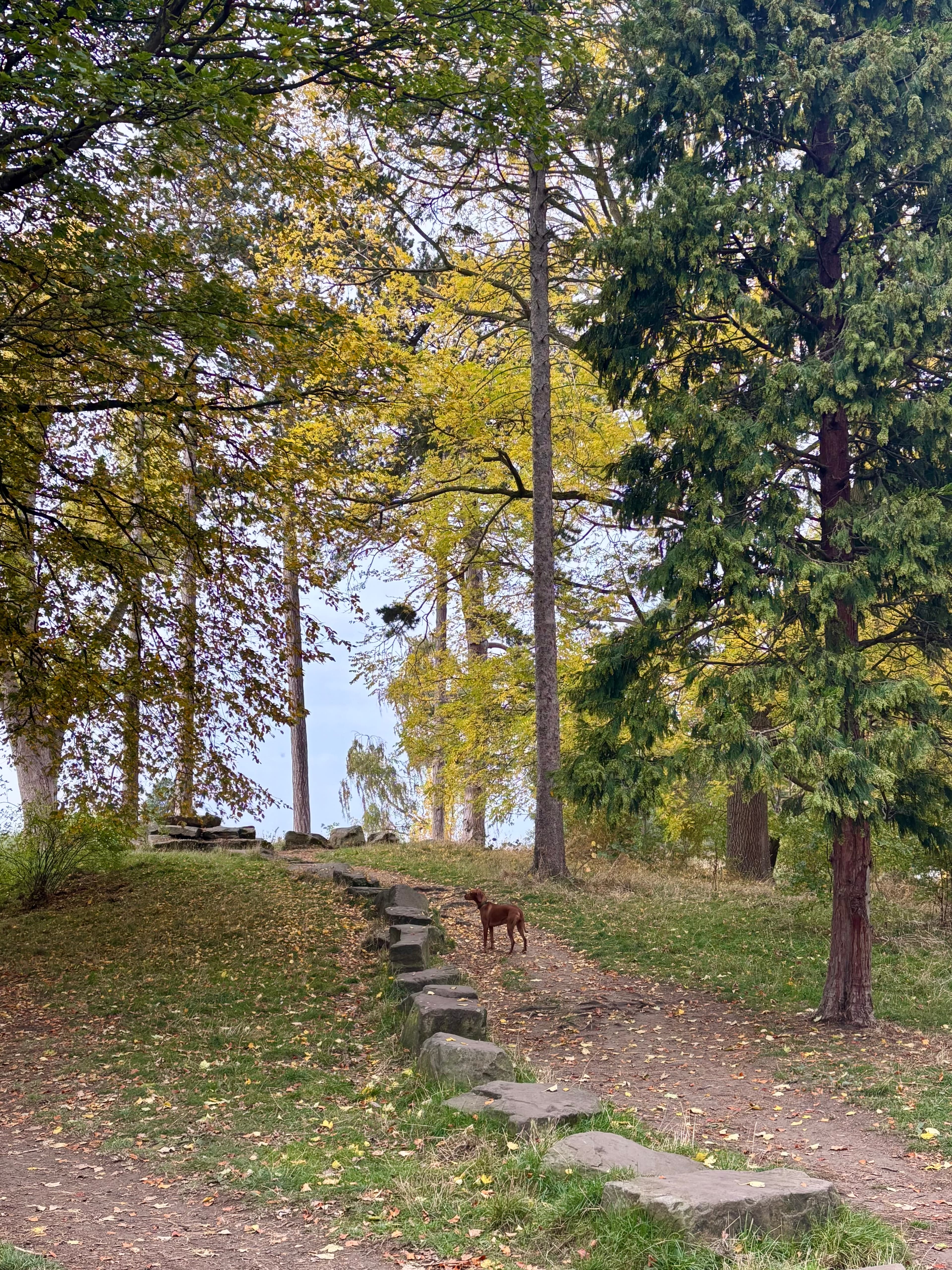 Travel photo 7