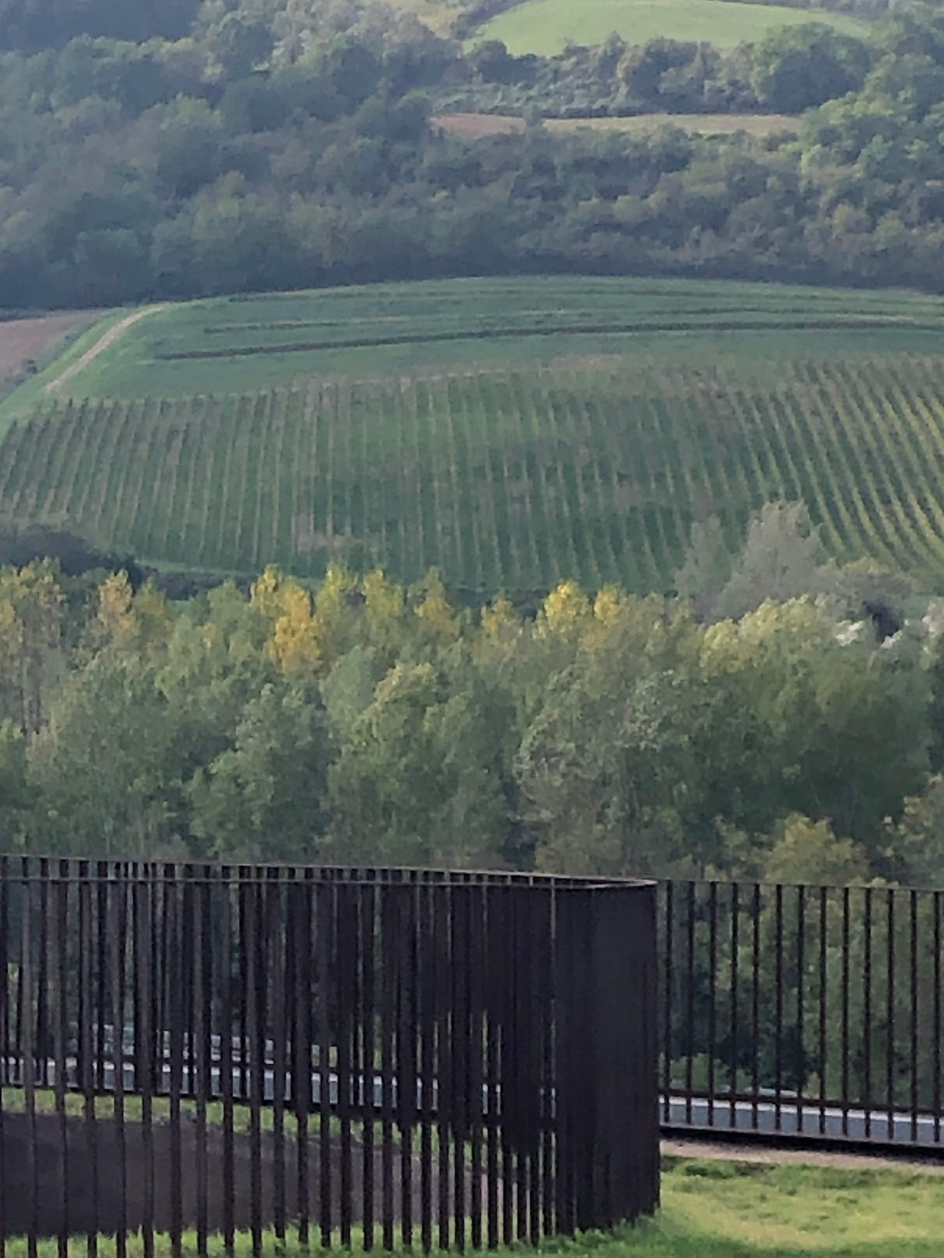 Travel photo 1